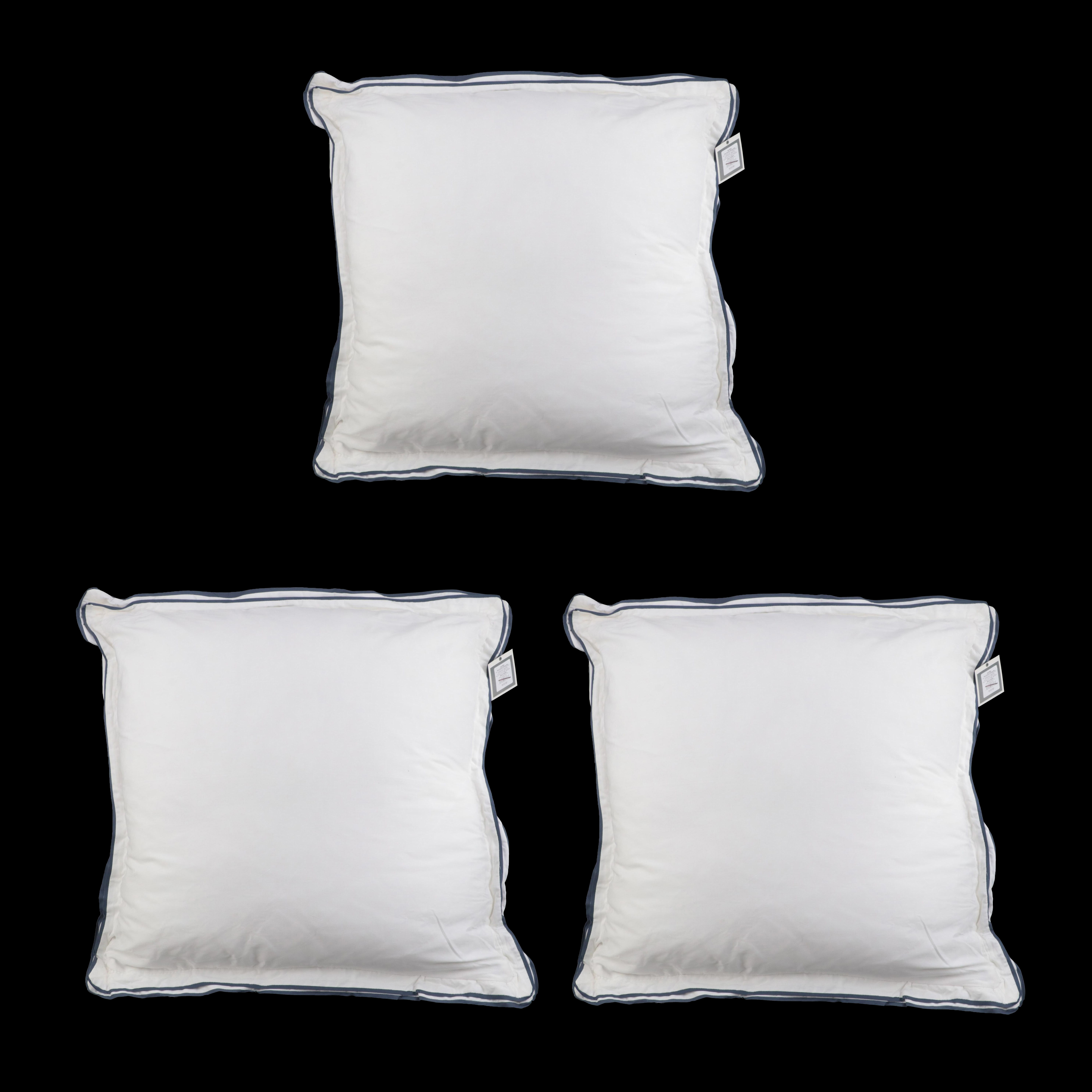 Three Threshold Signature Balanced Blue Border Euro Bed Pillows EBTH