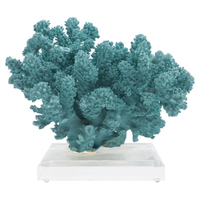 Dyed Scleractinian Branching Stony Coral Specimen on Acrylic Stand