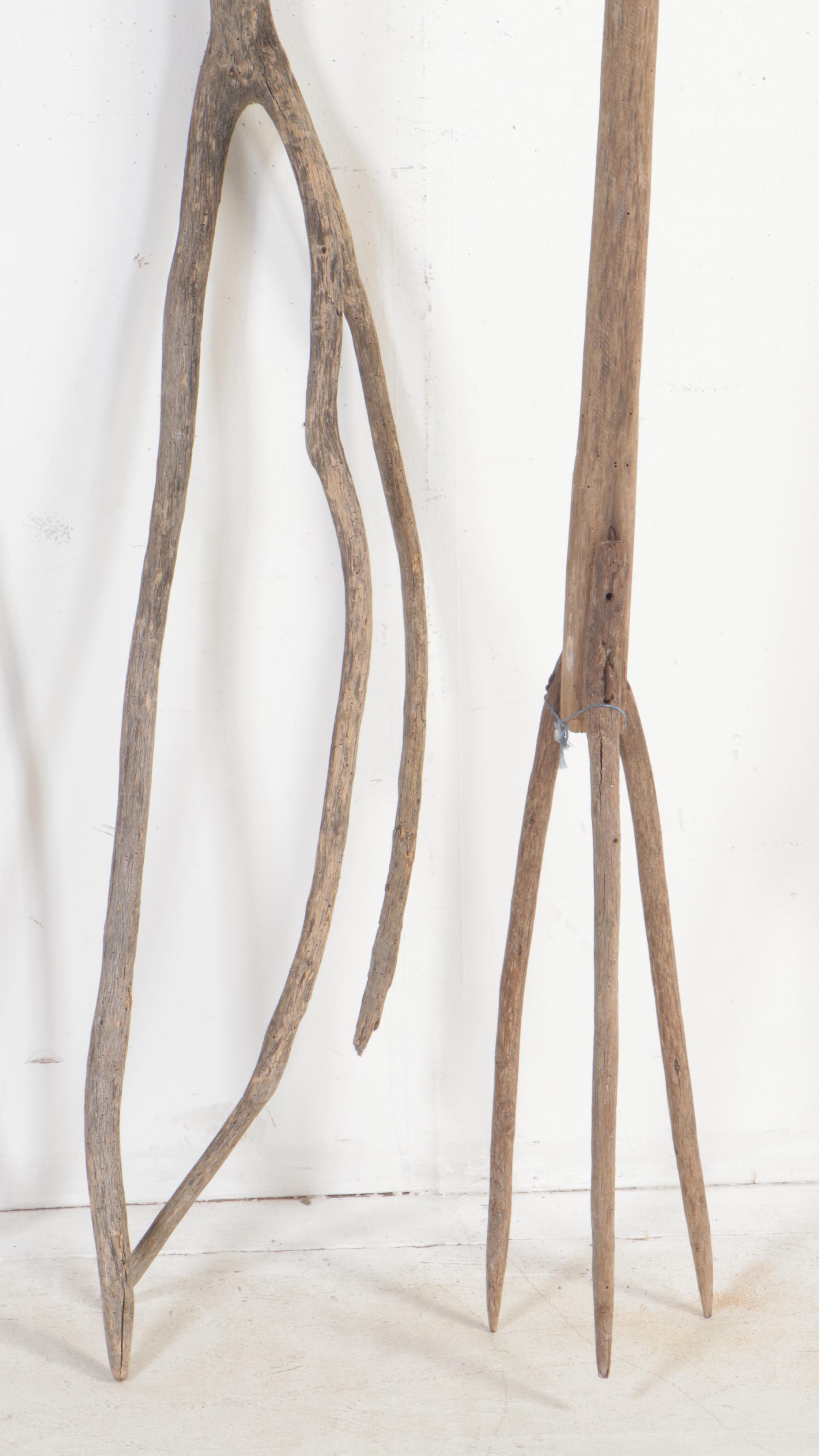 Turkish Pine Wood Farmers Pitchforks, Early 20th Century EBTH