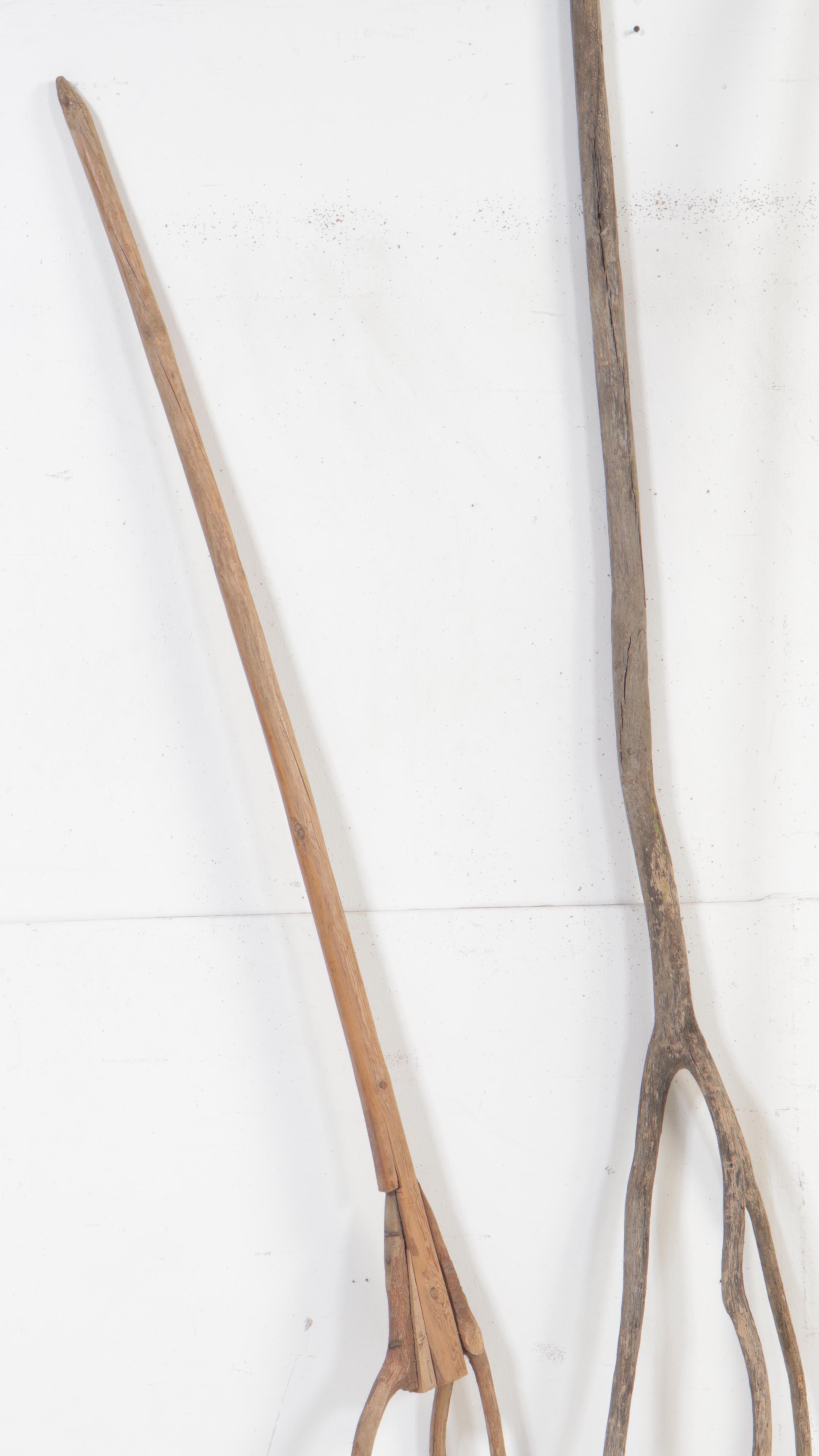 Turkish Pine Wood Farmers Pitchforks, Early 20th Century EBTH