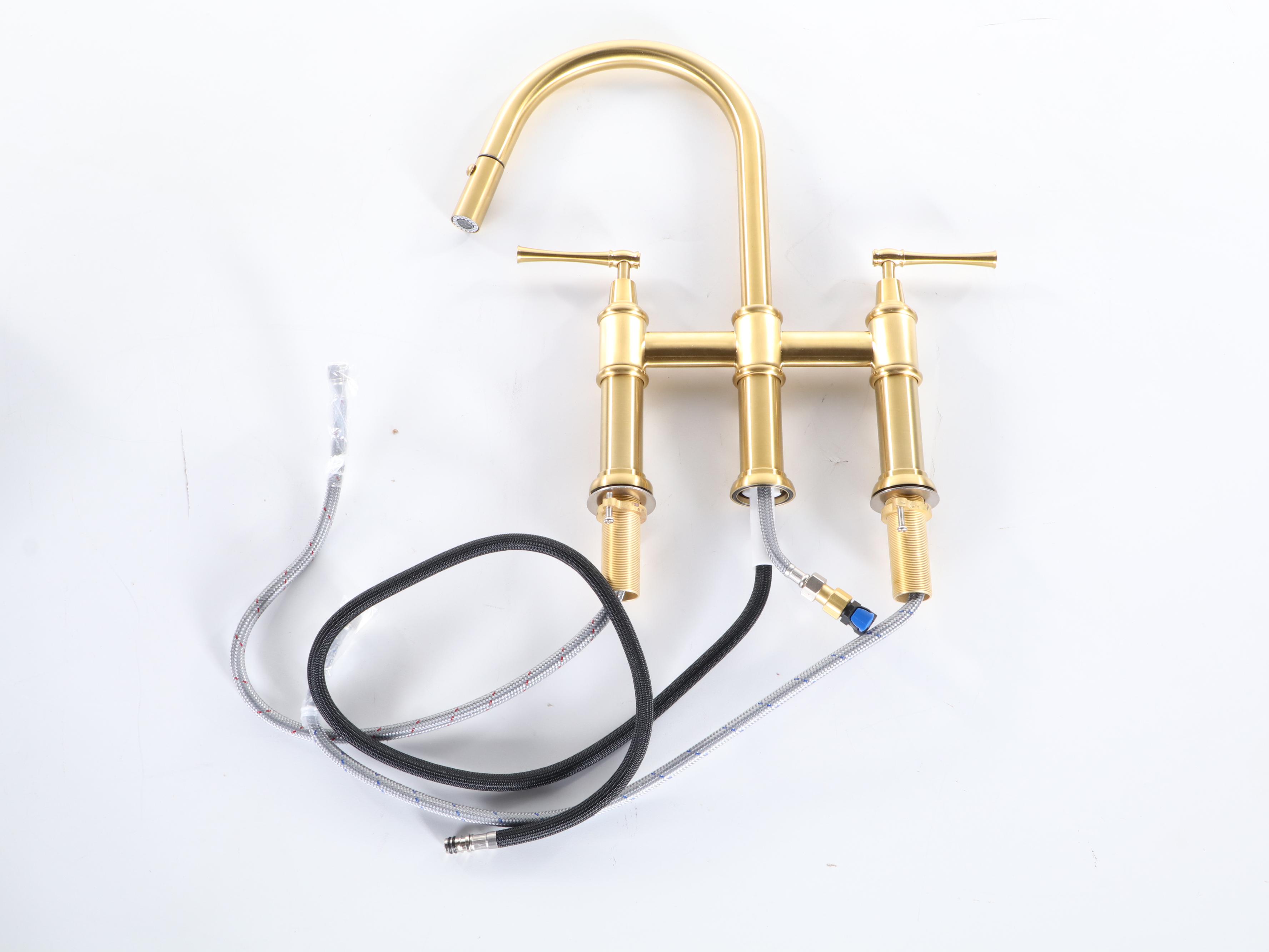 Matte Gold Finish Stainless Steel Prep Sink and PullDown Bridge