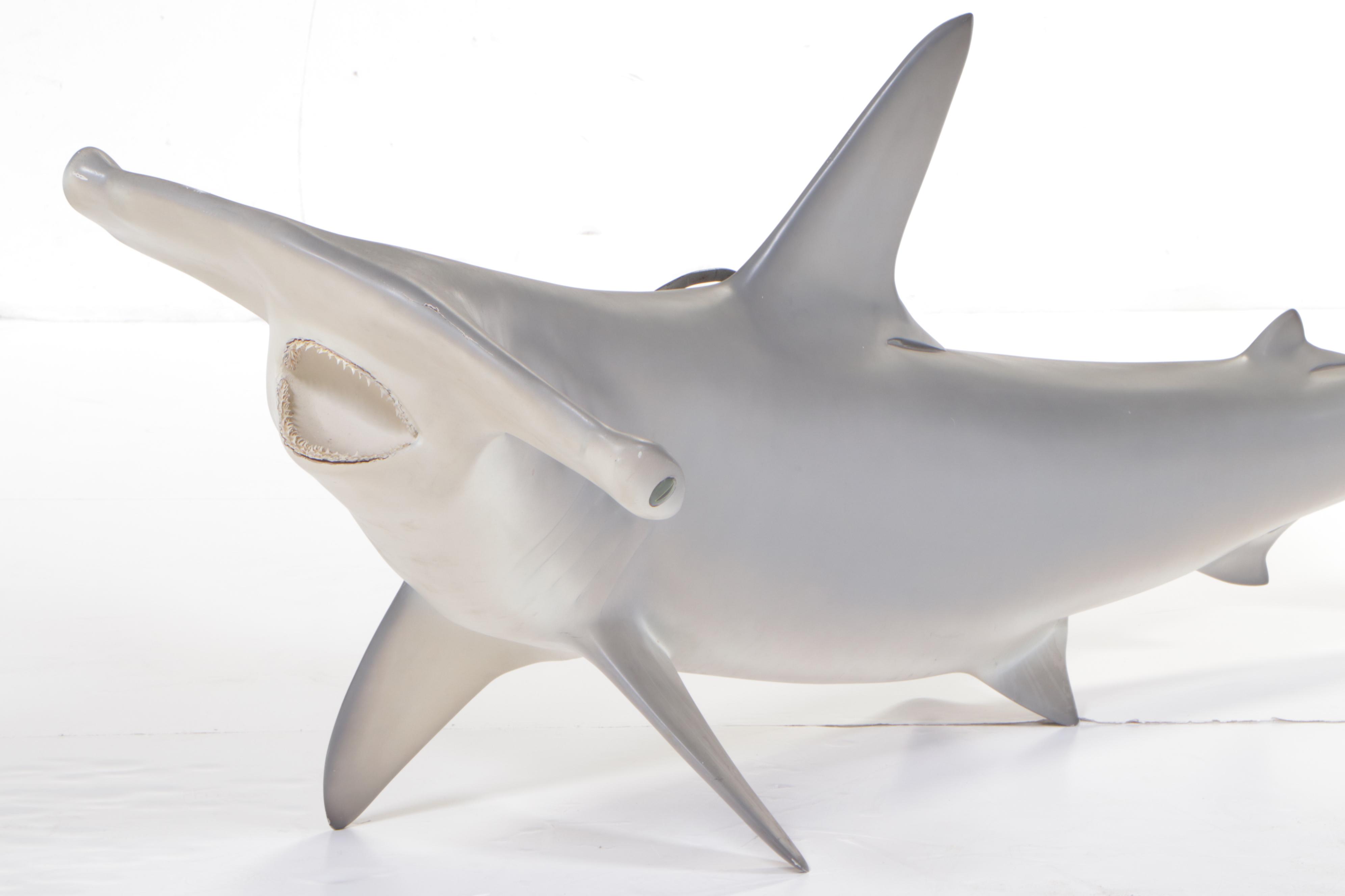 Taxidermy Fiberglass Replica Smooth Hammerhead Shark EBTH