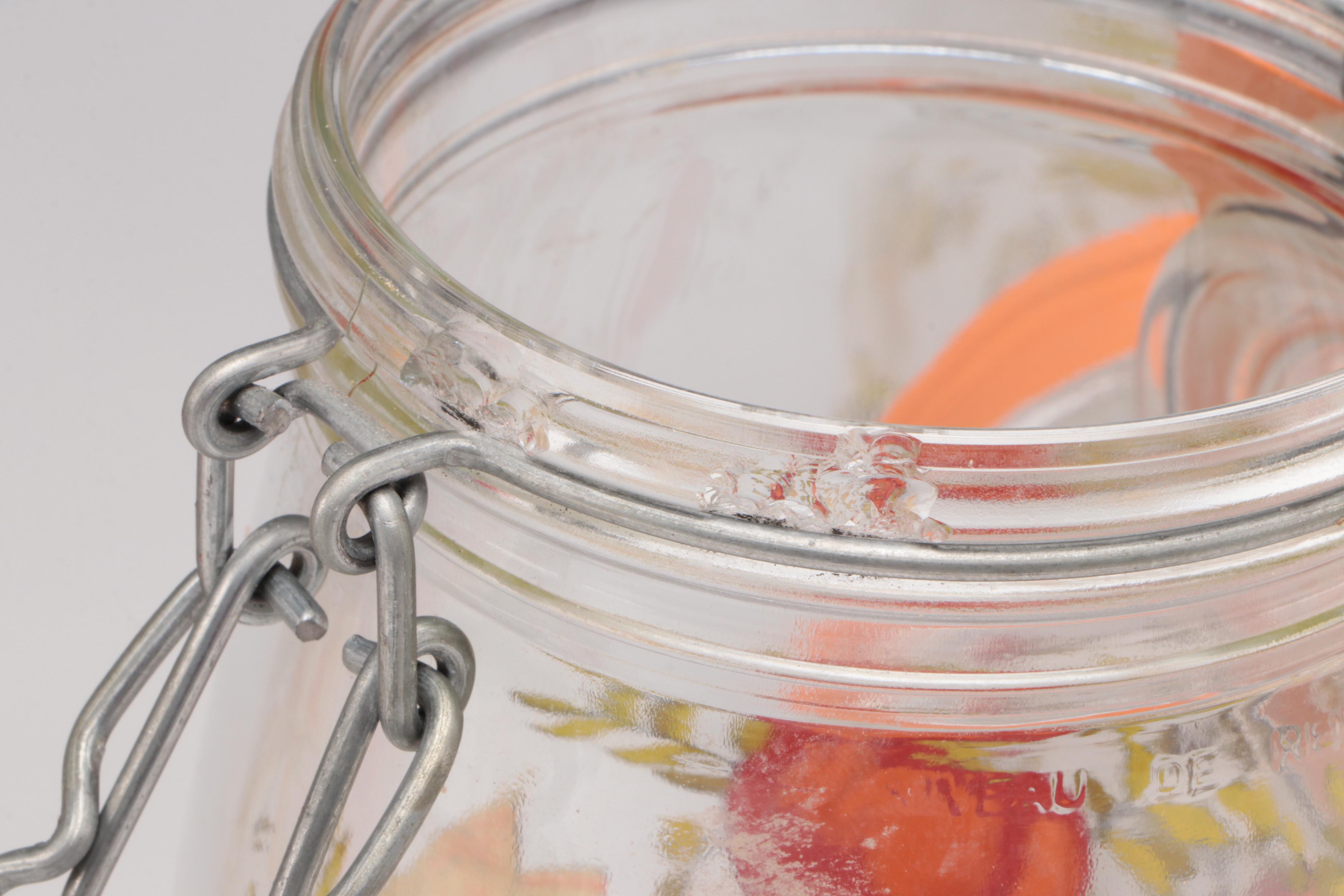 Arc French Glass "Spice of Life Glass" Jars EBTH