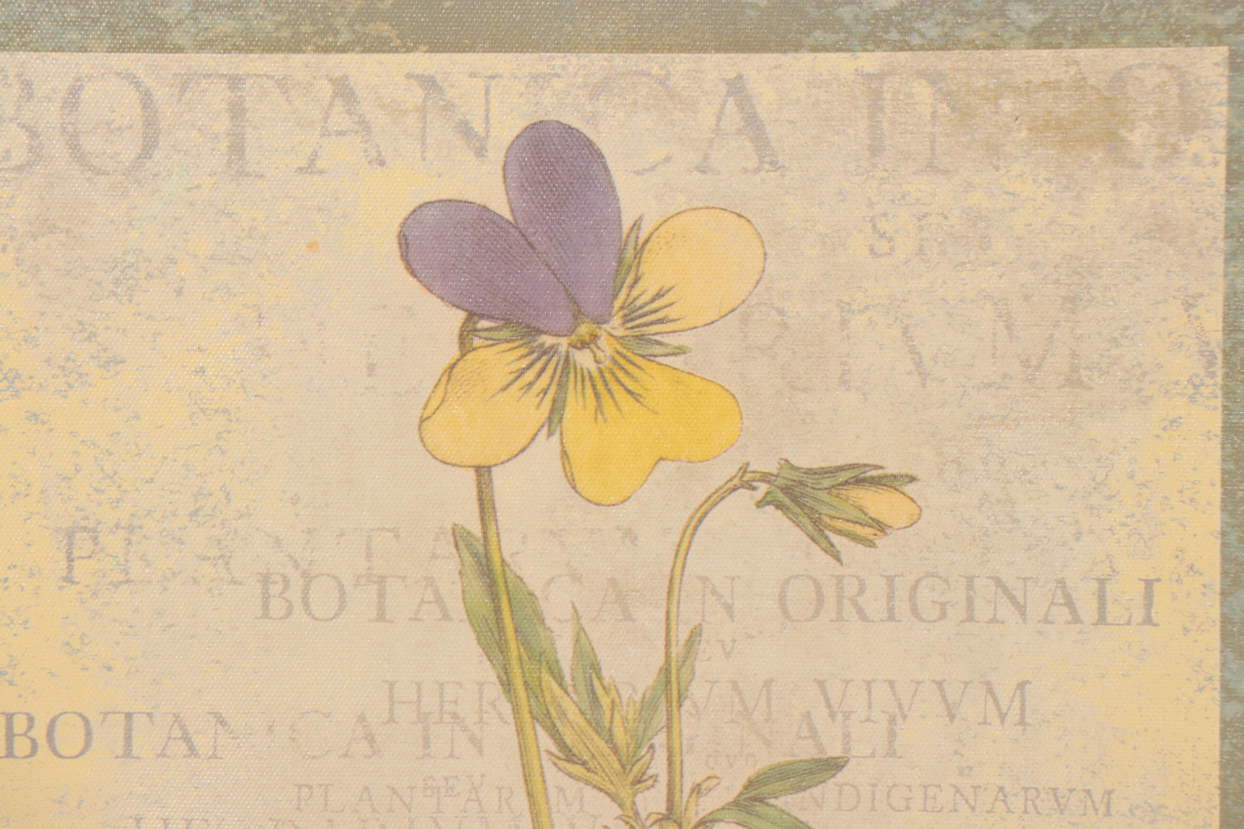 Offset Lithographs of Botanical Specimens EBTH