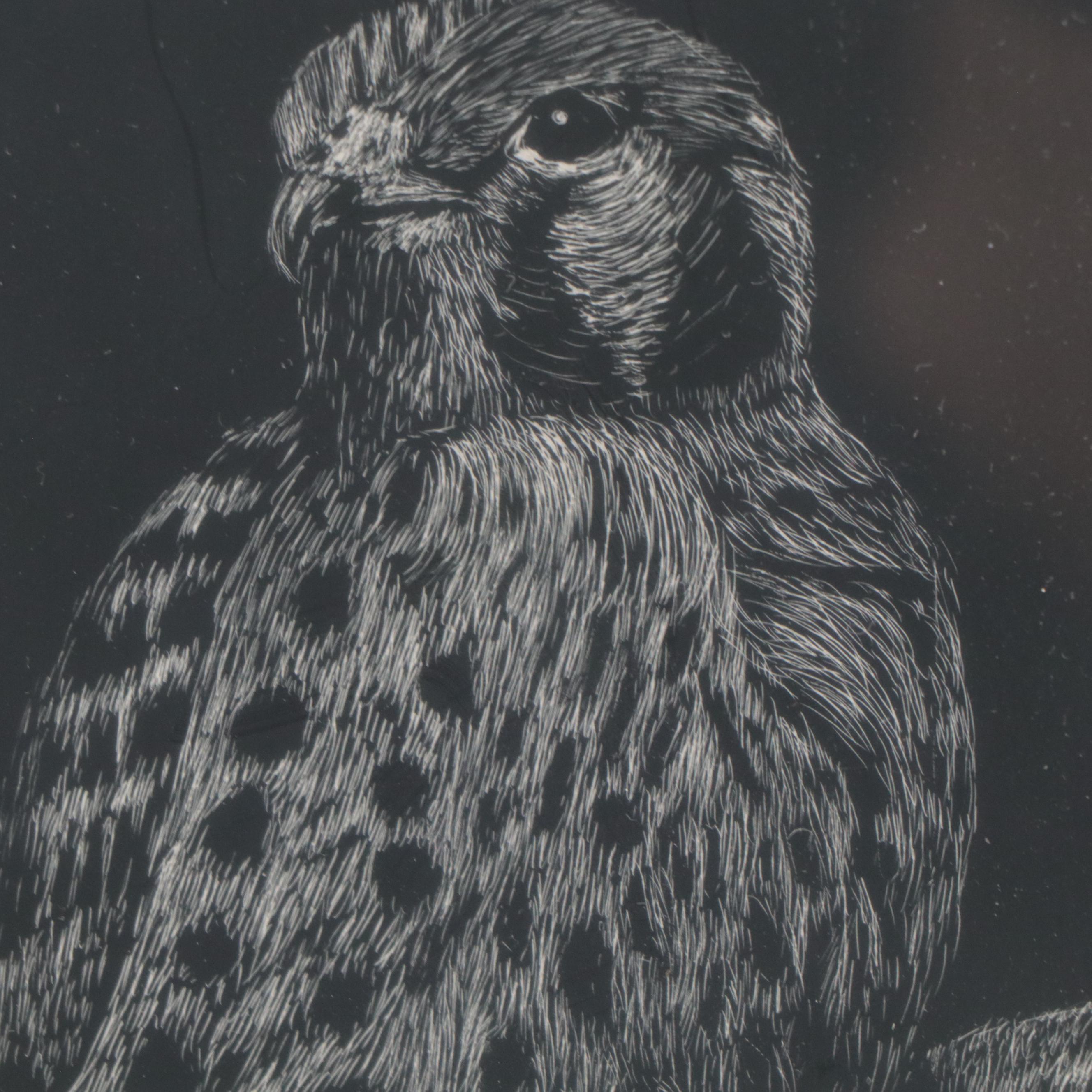 W. Burton Scratchboard Drawing of Bird EBTH