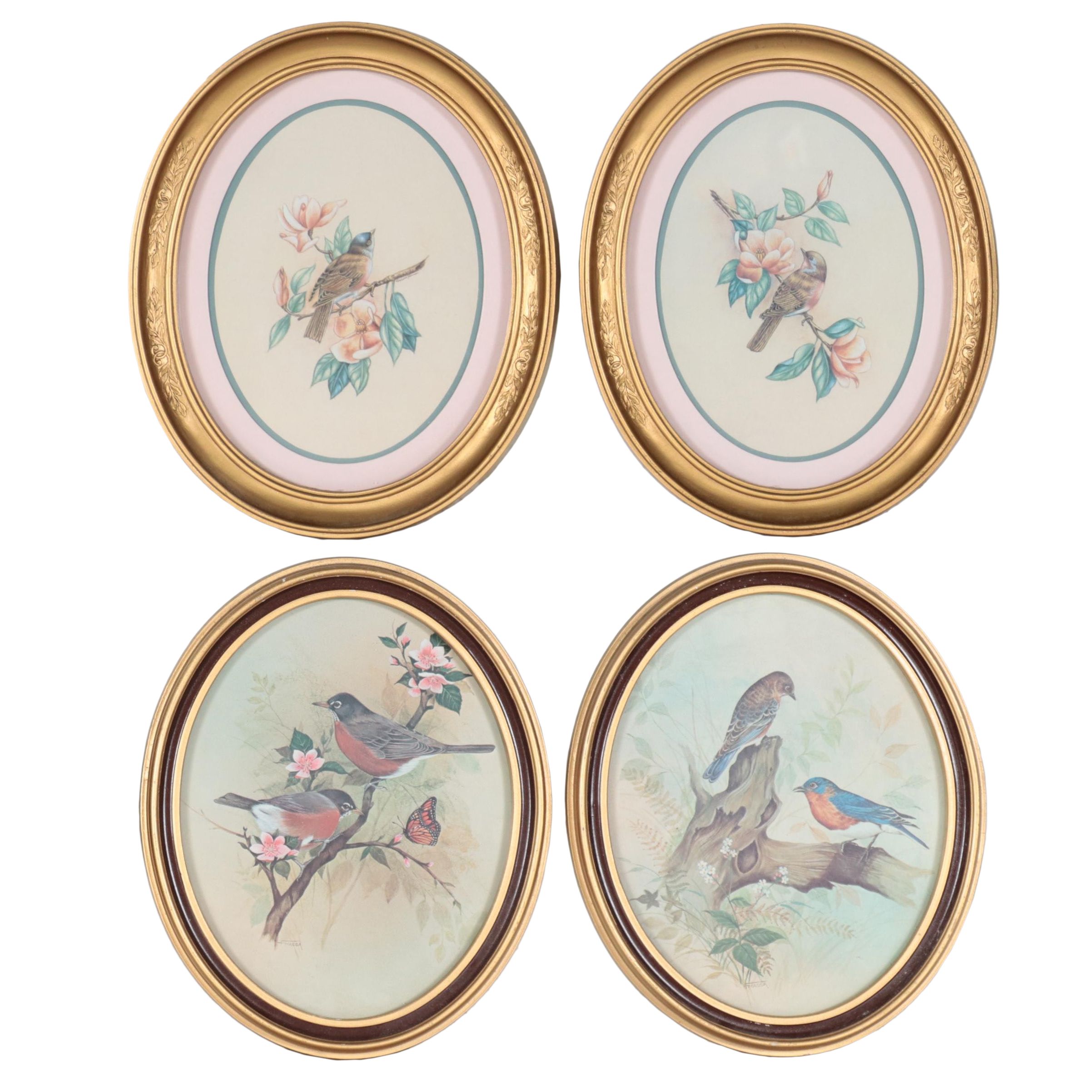 Offset Lithographs of Bird Illustrations EBTH