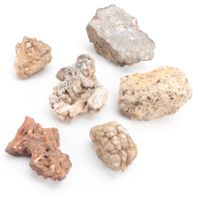 Conglomerates, Chalcedony, Composite Fossil and Other Mineral Specimens