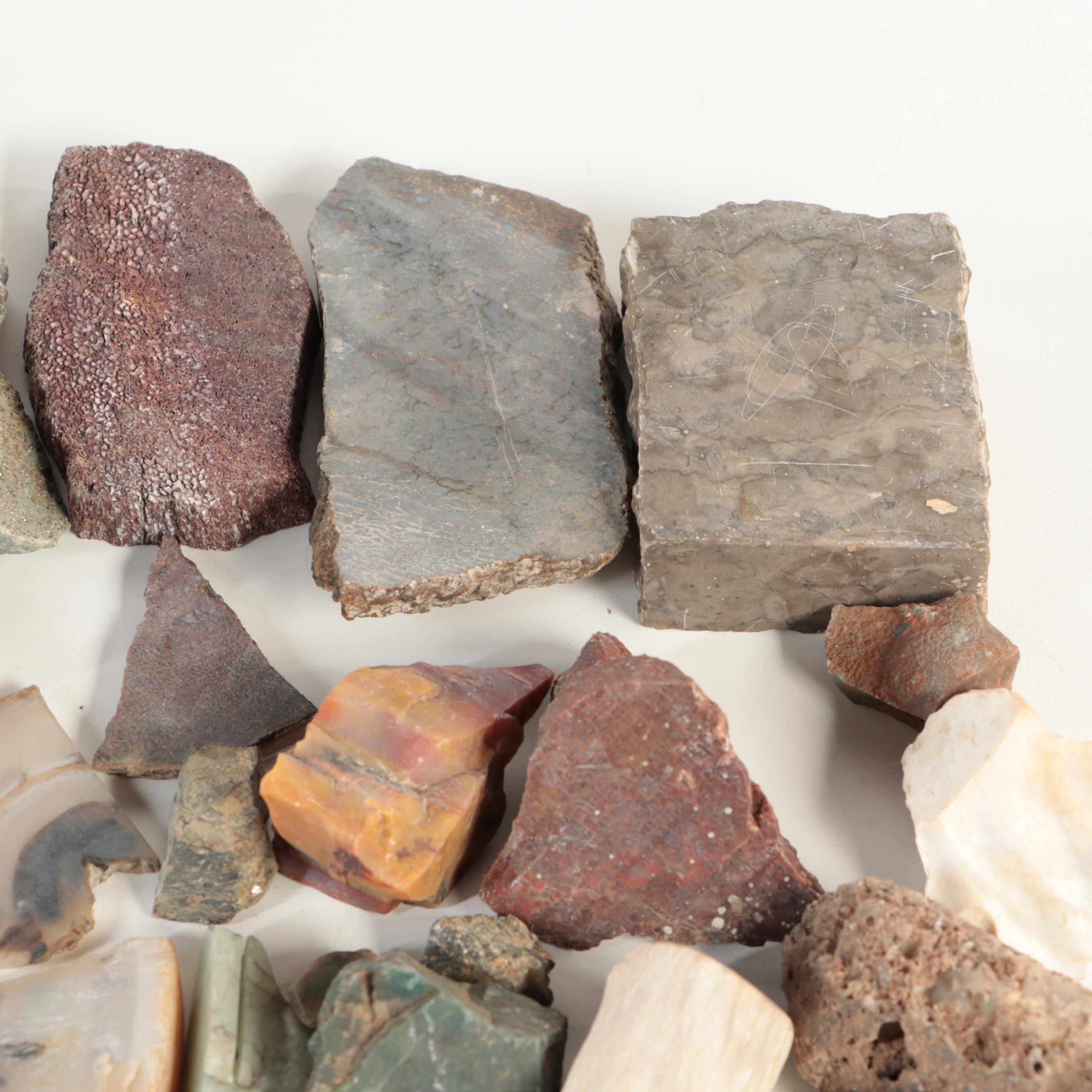 Rough Quartz, Petrified Wood, Fossil Dinosaur Bone and Other Mineral