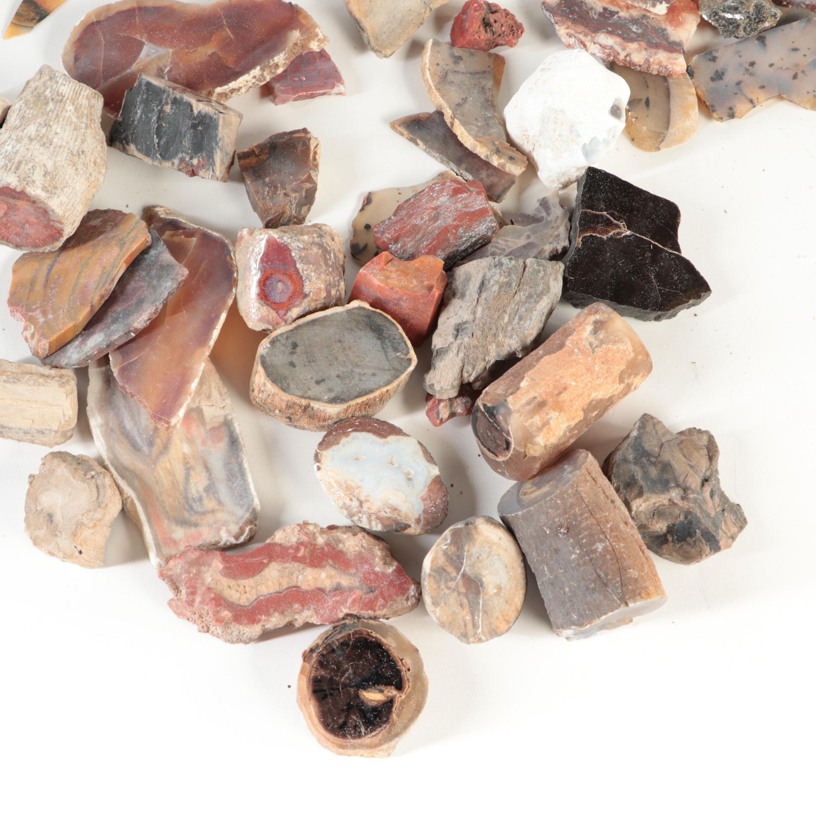 Tiger's Eye, Petrified Wood, Red Jasper and Other Mineral Specimens EBTH