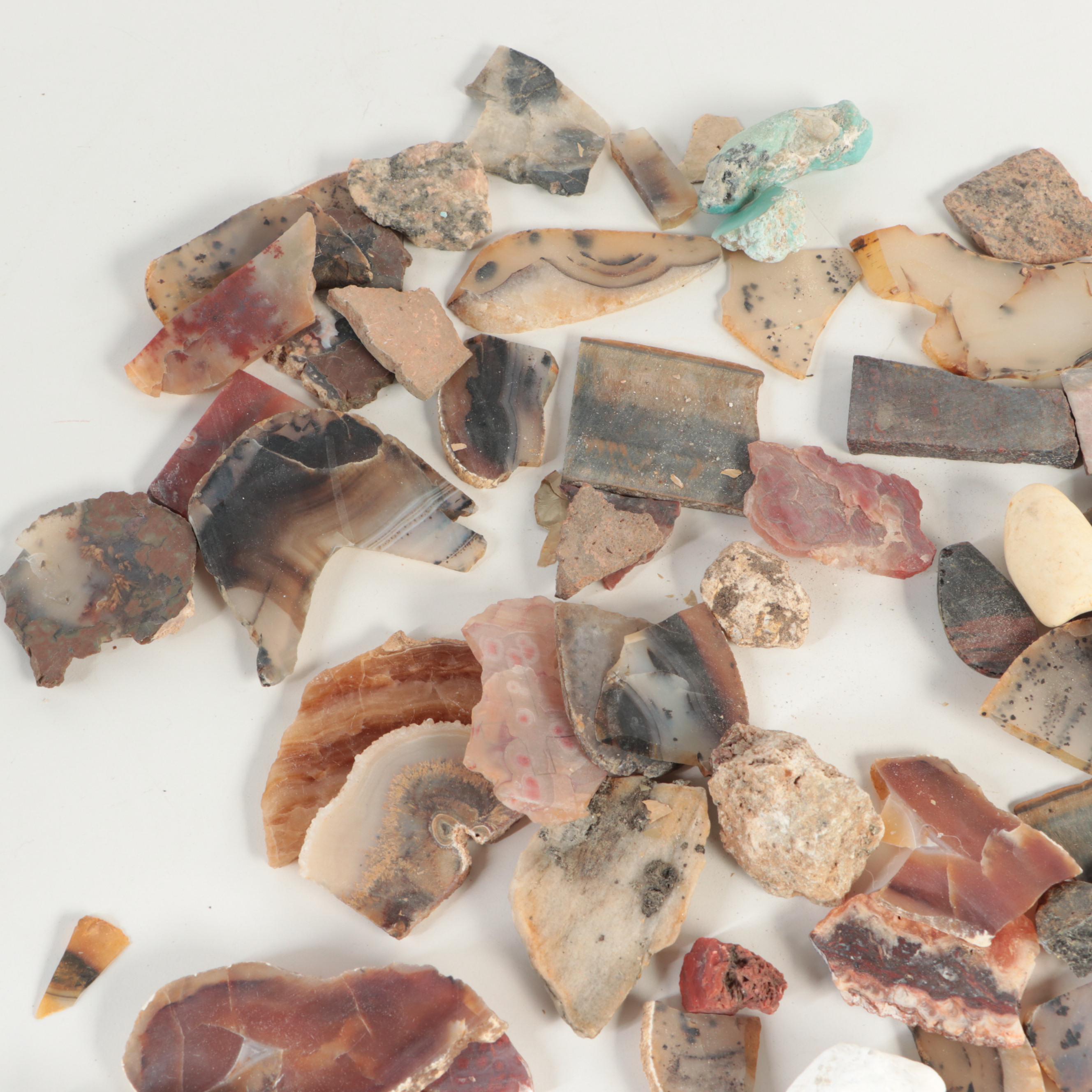 Tiger's Eye, Petrified Wood, Red Jasper and Other Mineral Specimens EBTH