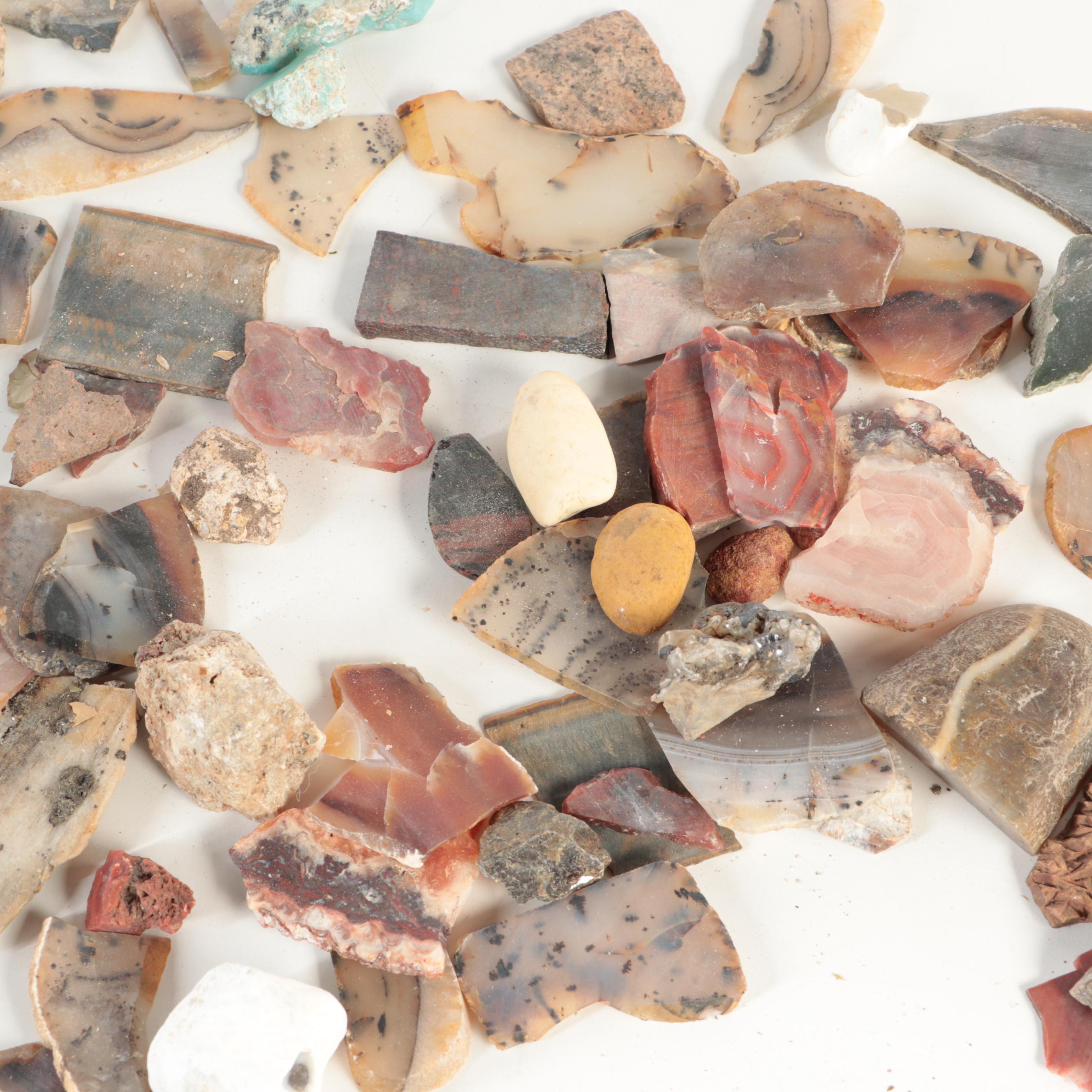 Tiger's Eye, Petrified Wood, Red Jasper and Other Mineral Specimens EBTH