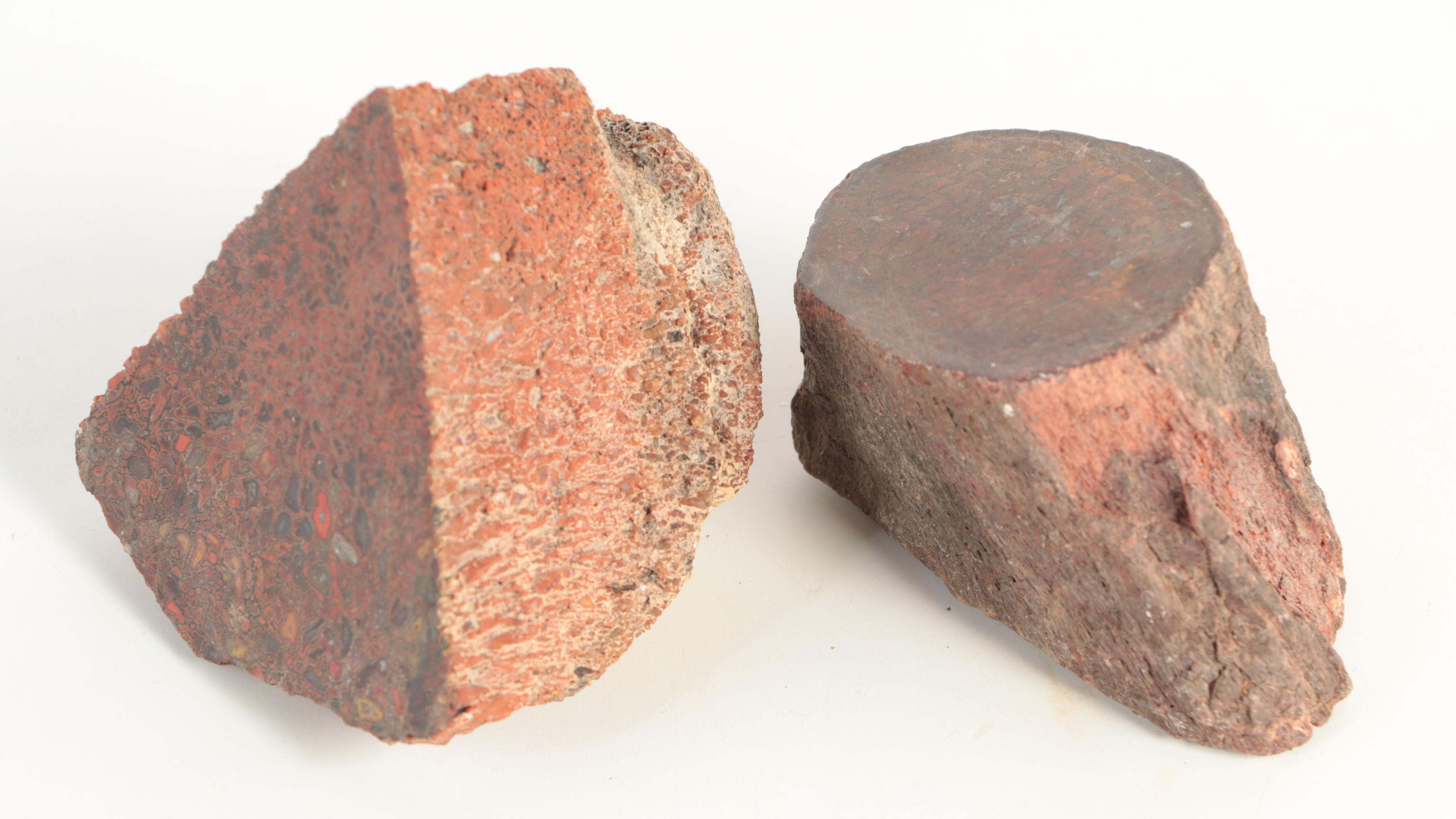 Agatized Fossil Dinosaur Bone Specimens EBTH