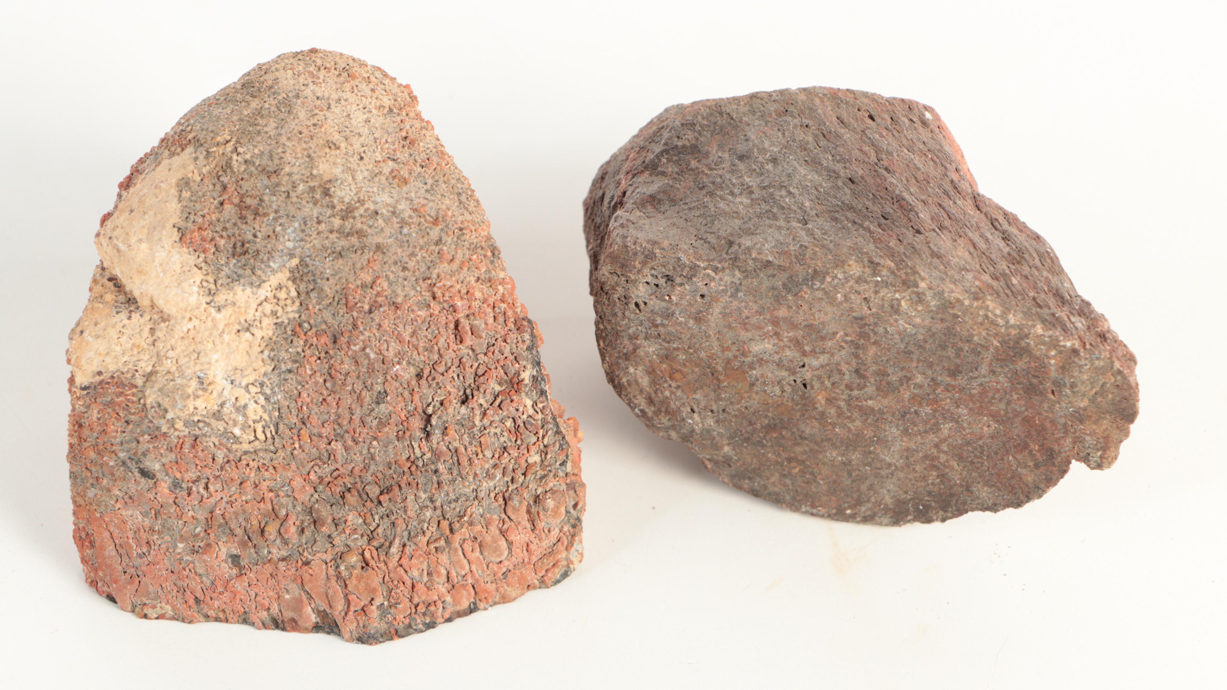 Agatized Fossil Dinosaur Bone Specimens EBTH