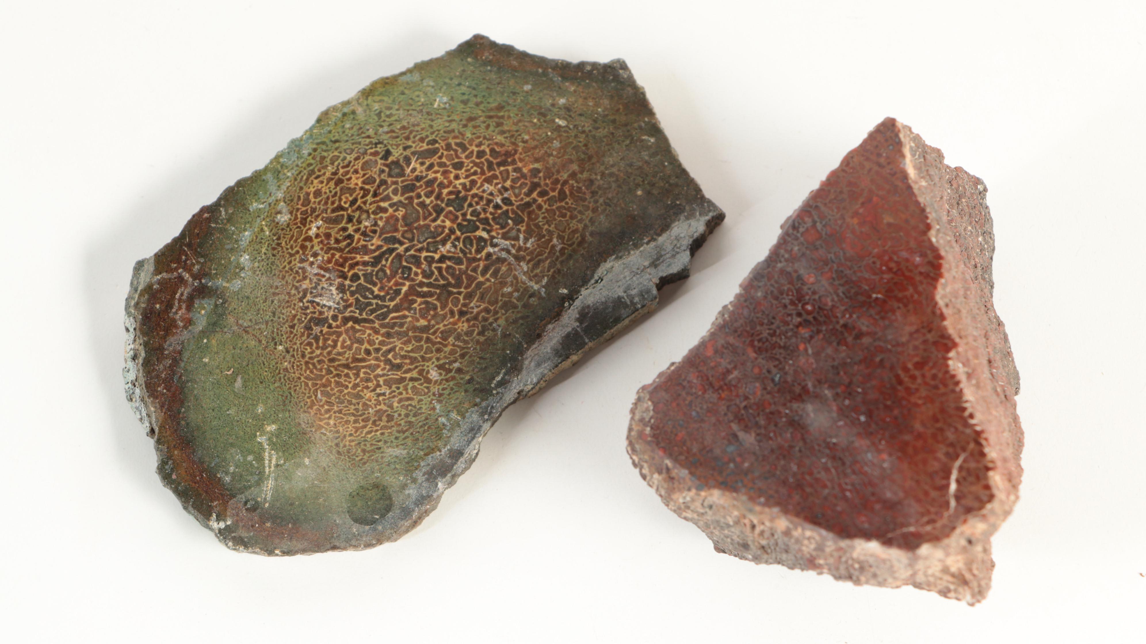 Agatized Fossil Dinosaur Bone Specimens EBTH