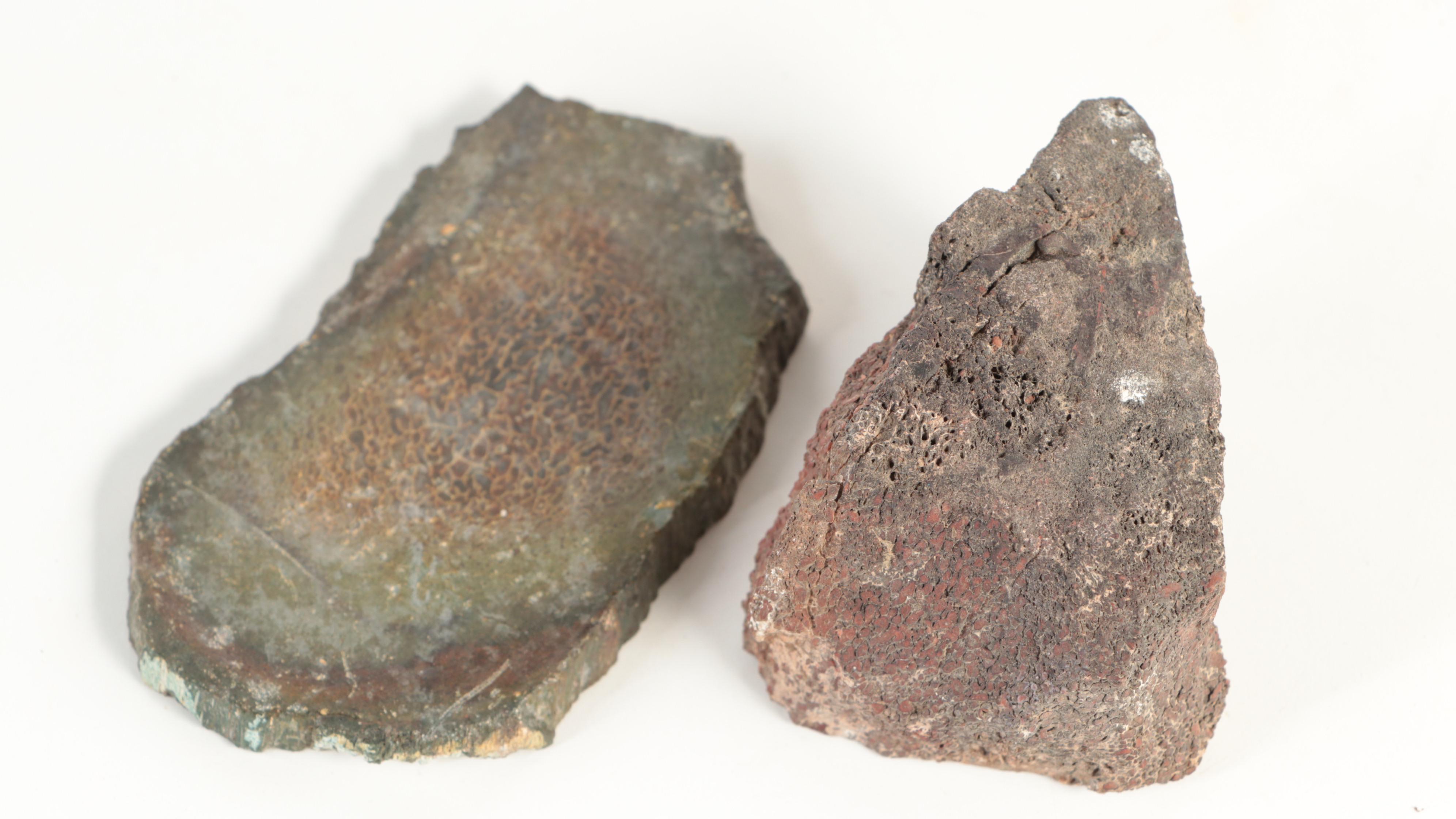 Agatized Fossil Dinosaur Bone Specimens EBTH