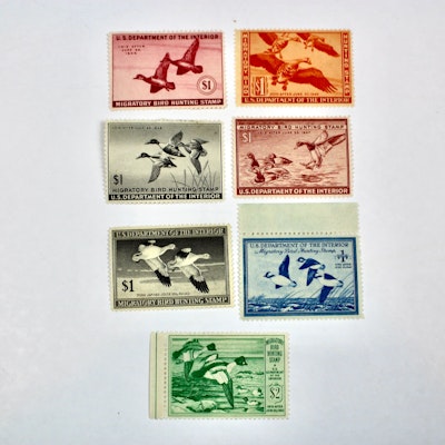 Early Group of Mint Condition U.S. Duck Stamps, 1943-1949