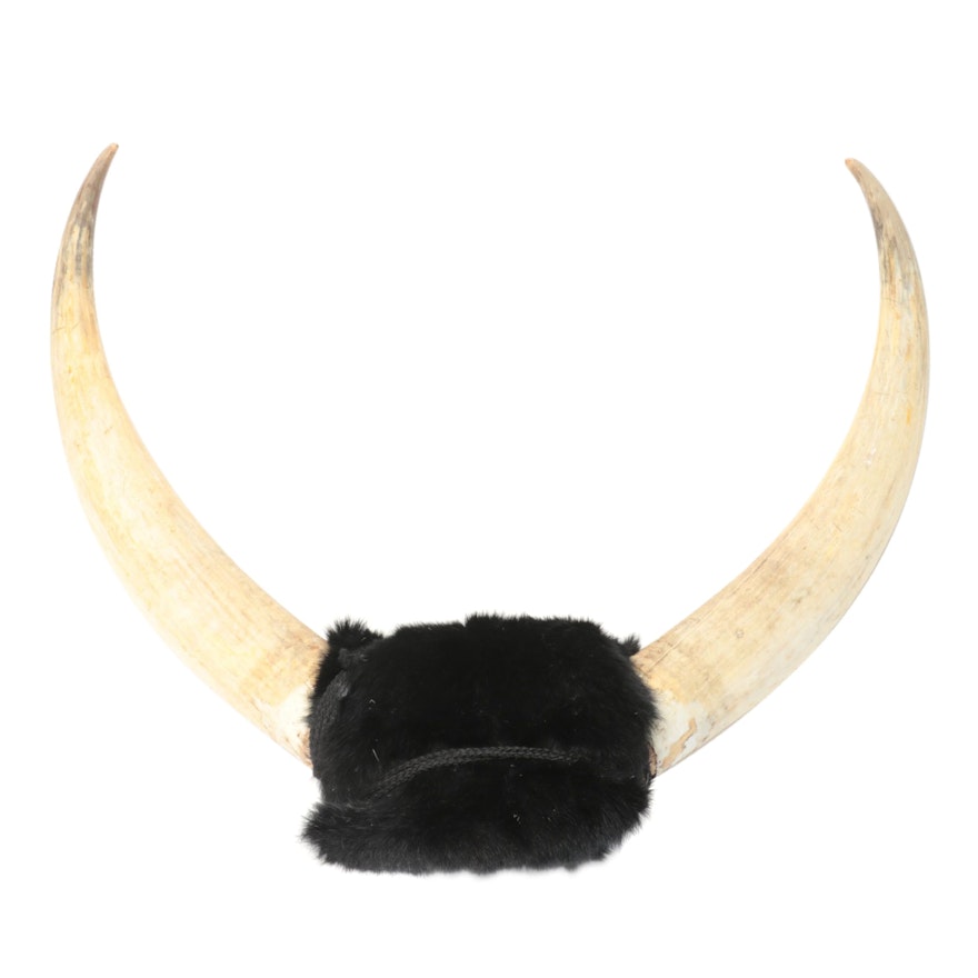 Mounted Ankole-Watusi Horns with Faux Fur Wrap