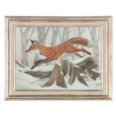 John Ruthven Watercolor Painting of Red Fox in Snow