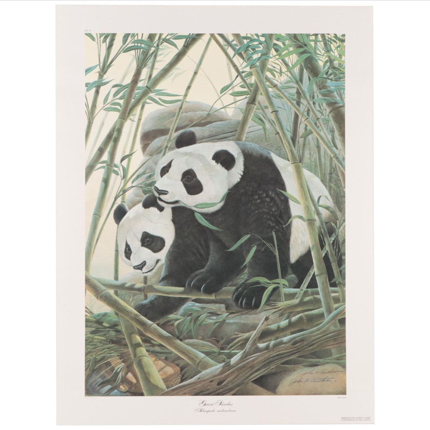 John A. Ruthven Offset Lithograph "Giant Pandas," Late 20th Century
