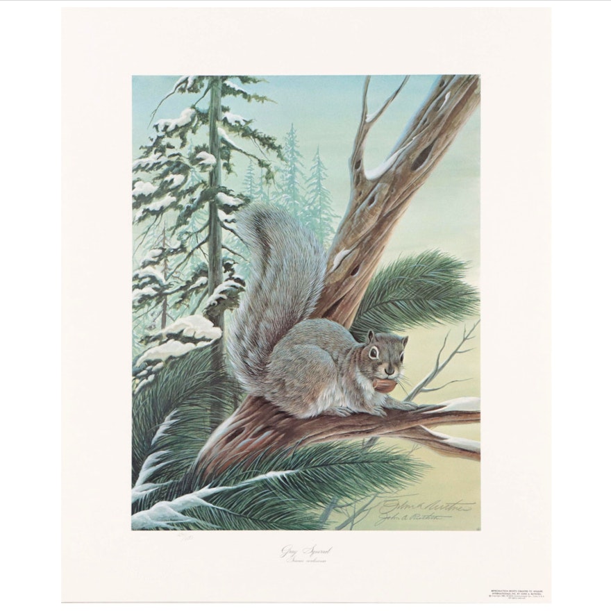 John A. Ruthven Offset Lithograph "Gray Squirrel," 1982