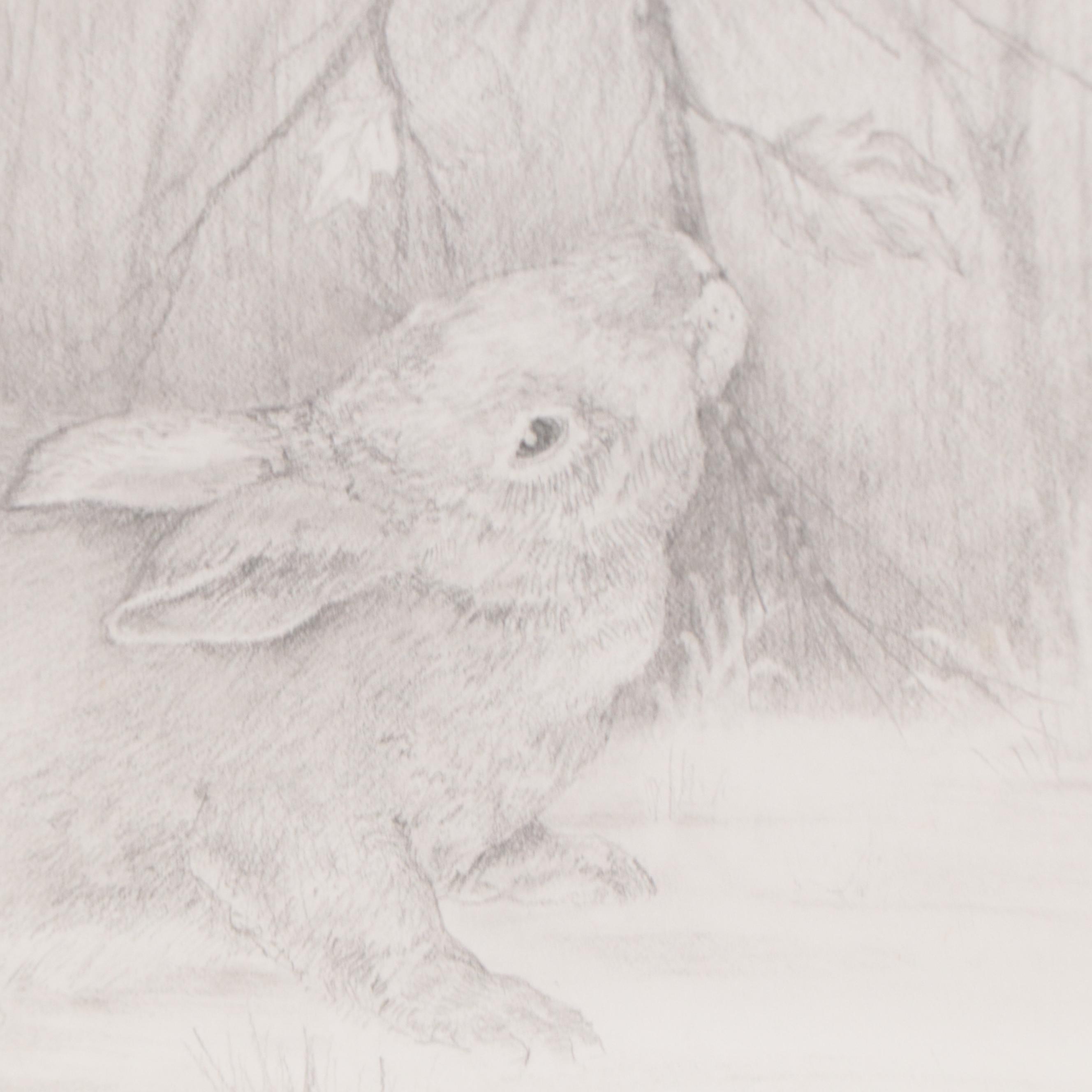 Graphite Drawing of Rabbit, 2003 | EBTH