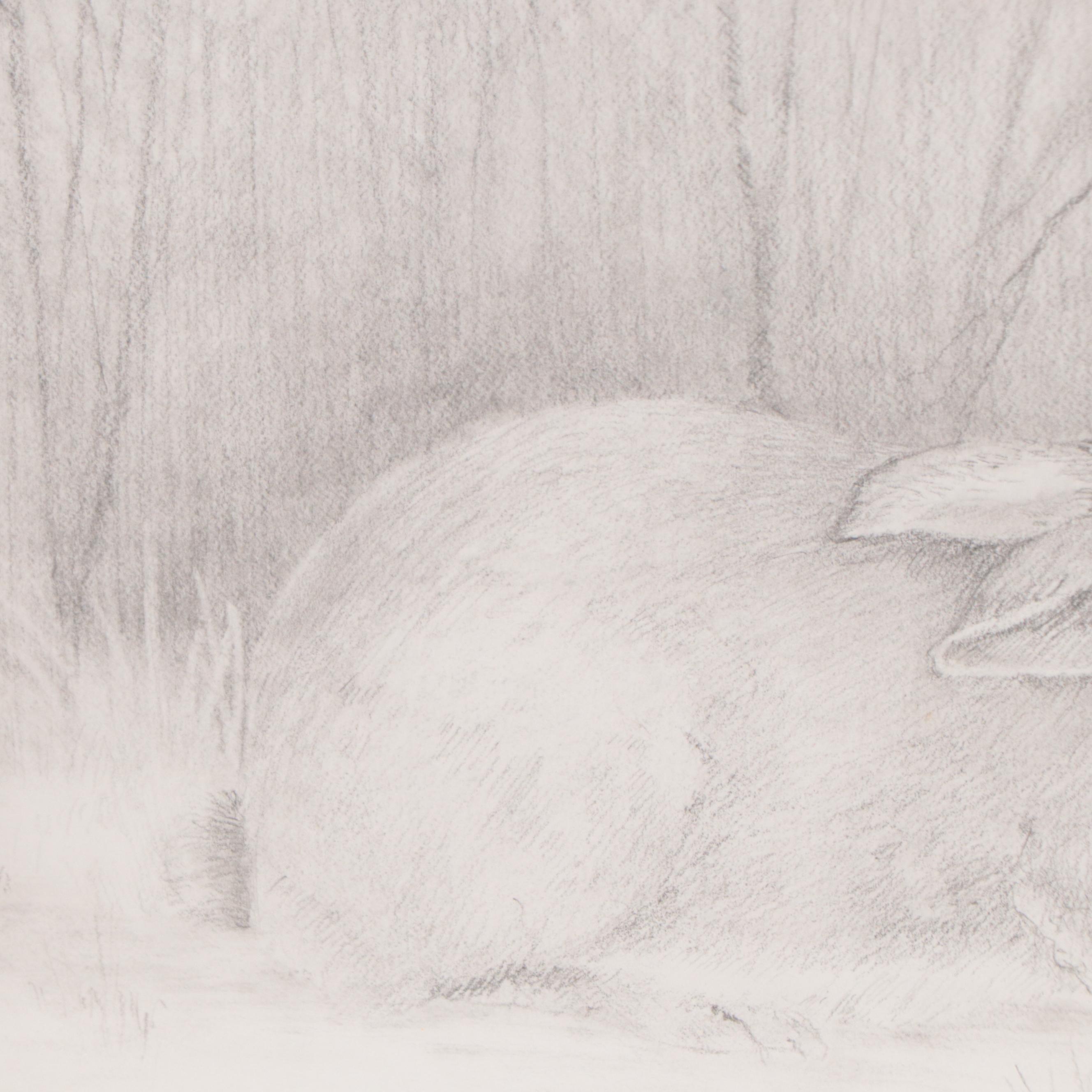 Graphite Drawing of Rabbit, 2003 | EBTH