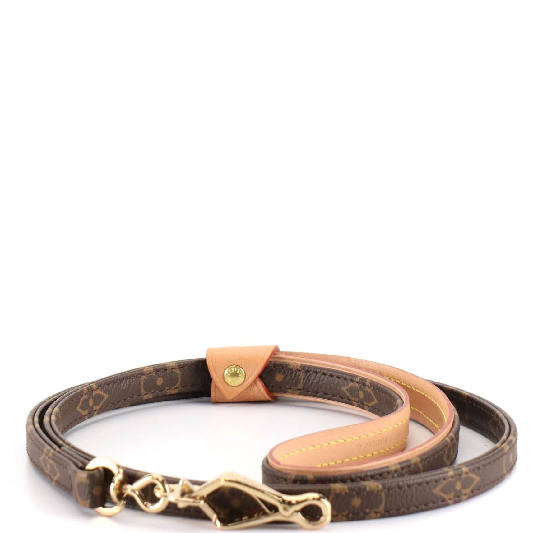 Louis Vuitton Baxter MM Pet Leash in Monogram Canvas and Leather with