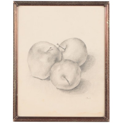 Still Life Graphite Drawing of Apples, 1980