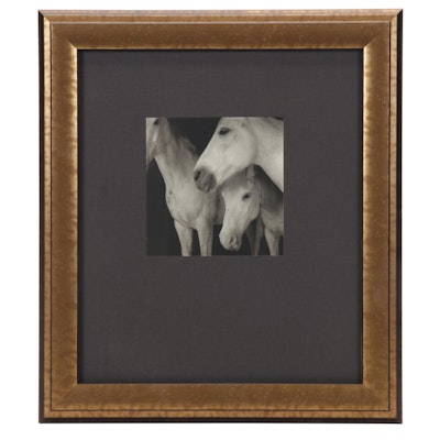 Keith Carter Photogravure "Caballos Blancos" for "21st Editions," 1998