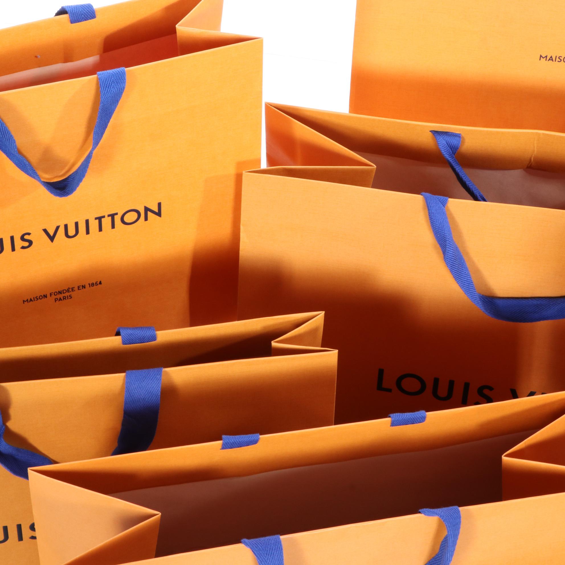 Louis Vuitton Retail Boxes and Bags EBTH