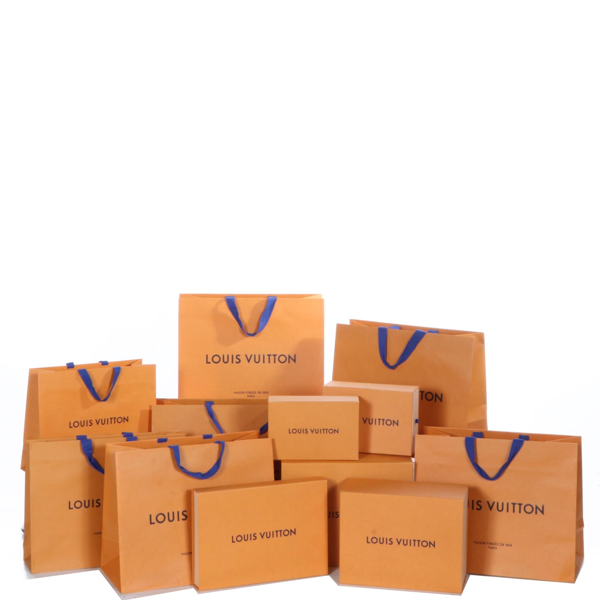 Louis Vuitton Retail Boxes and Bags EBTH