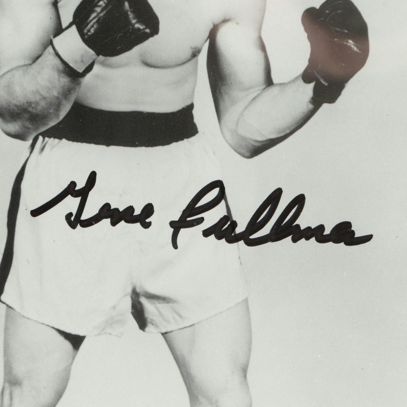 Carmen Basilio And Gene Fullmer Signed Framed Middleweight Boxing