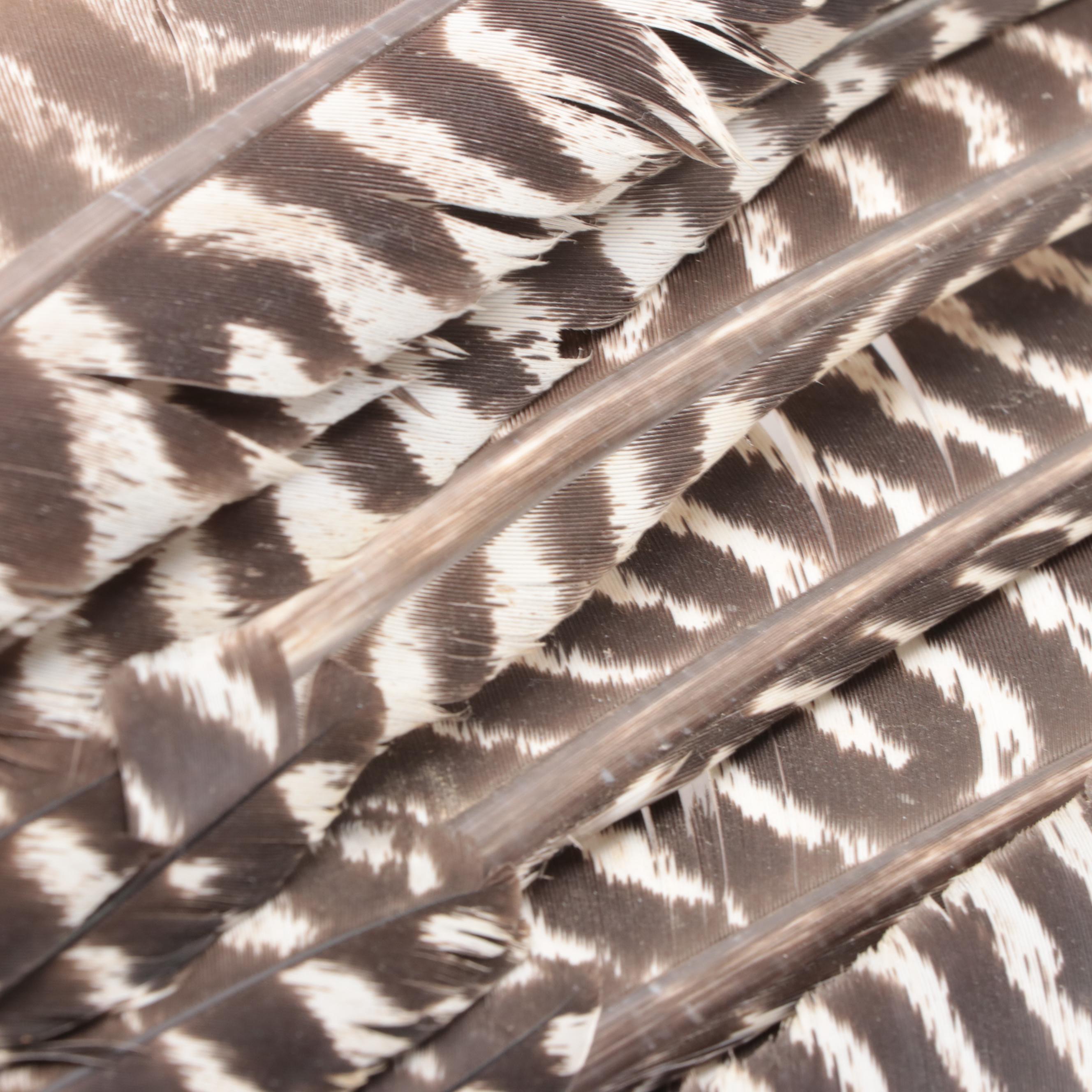 Native American Style Prayer Fan, Rattle, Club, Pipe and Arrow EBTH