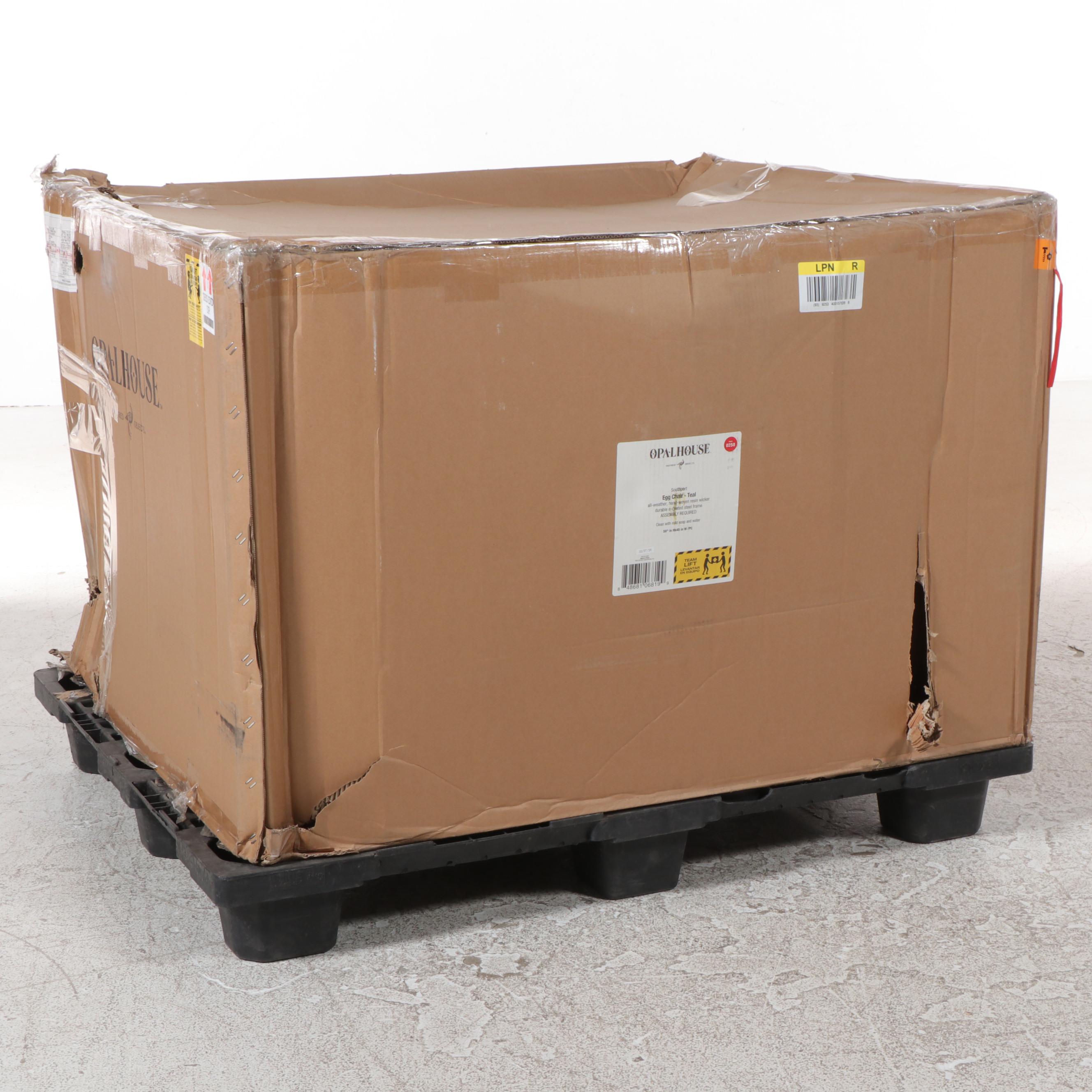 Opalhouse with Southport Patio Egg Chair EBTH