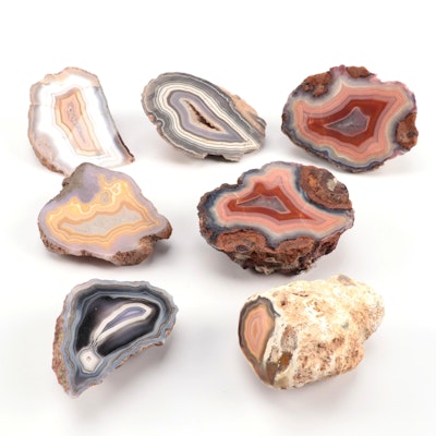 Geode Fragments With Carnelian, Chalcedony and Lace Agate