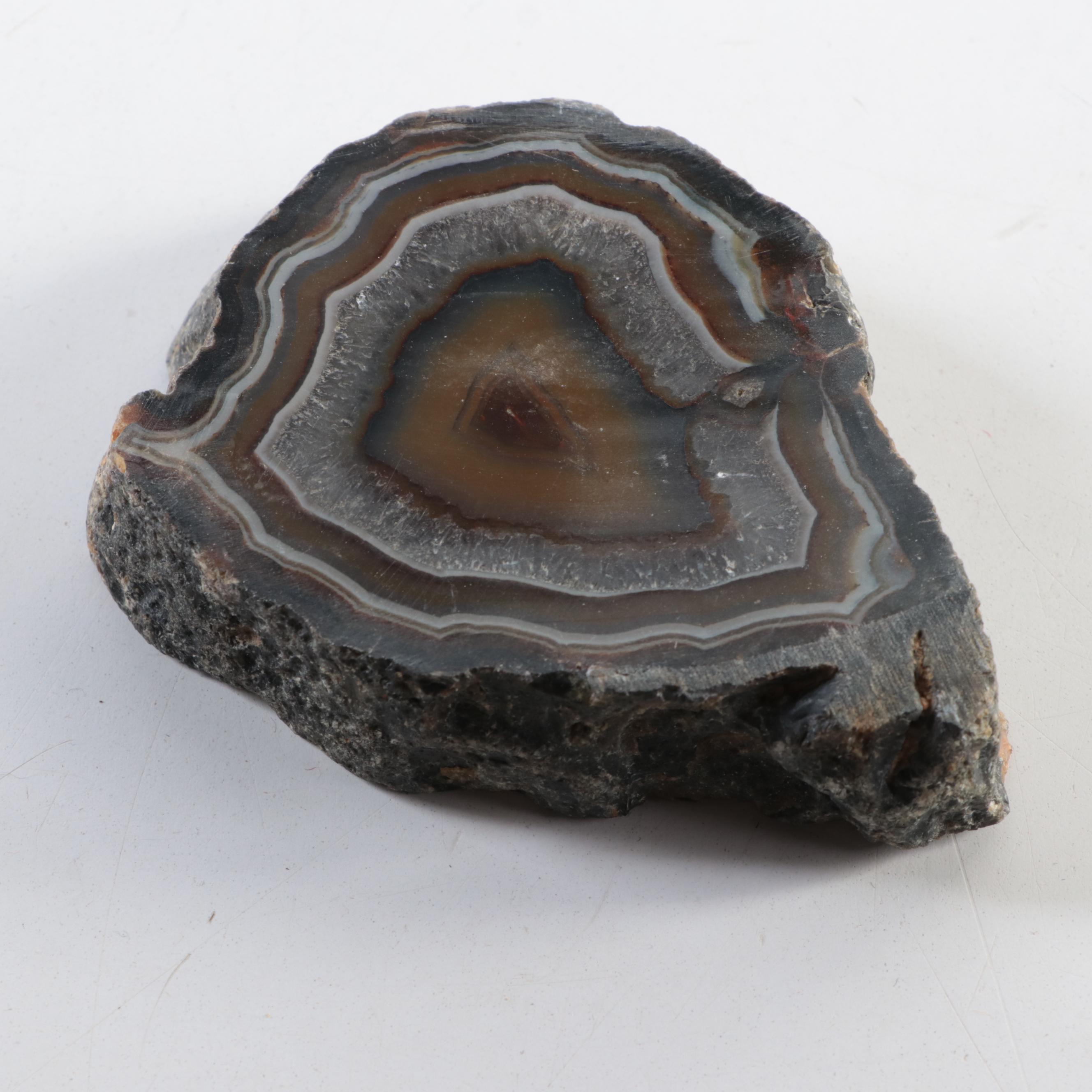 Partially Polished Banded Agate Specimens EBTH
