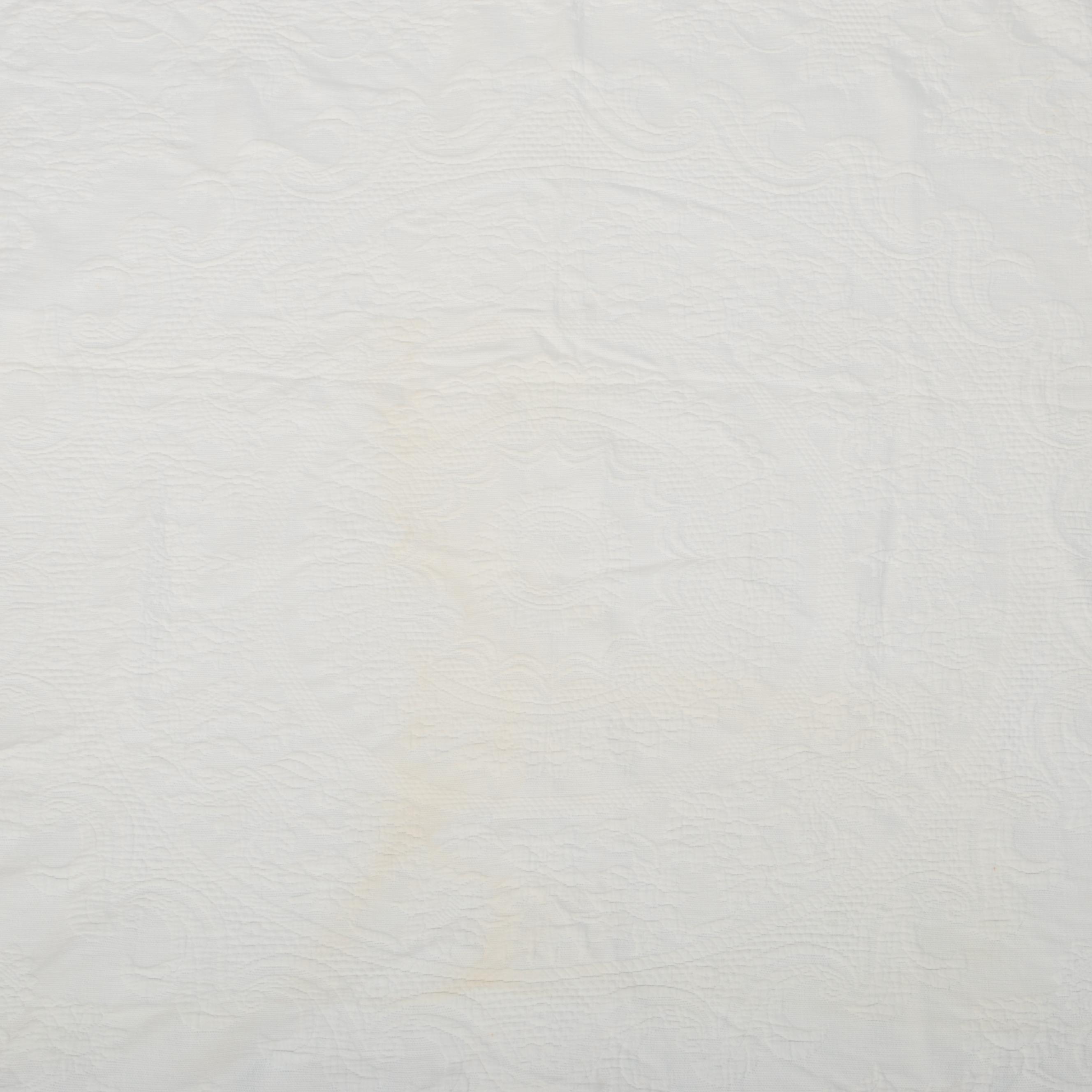 Bates Queen Elizabeth Cotton Jacquard Fringed Bedspreads EBTH