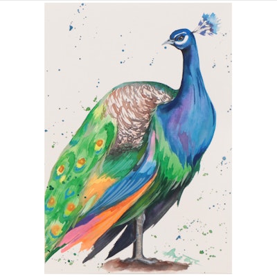 Anne Gorywine Watercolor Painting of Peacock, 21st Century