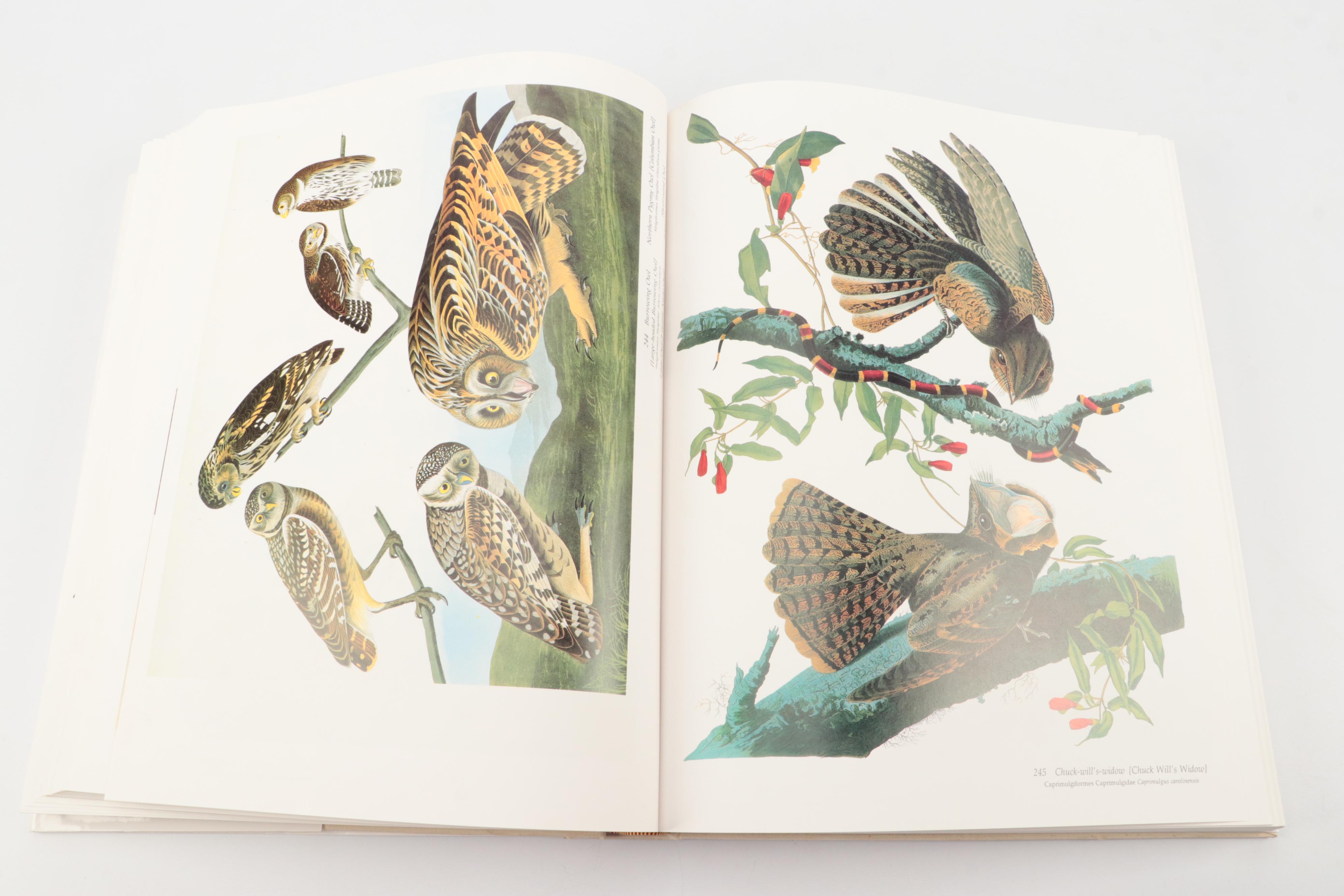 "Audubon's Birds of America" Baby Elephant Folio by the Petersons, 1985