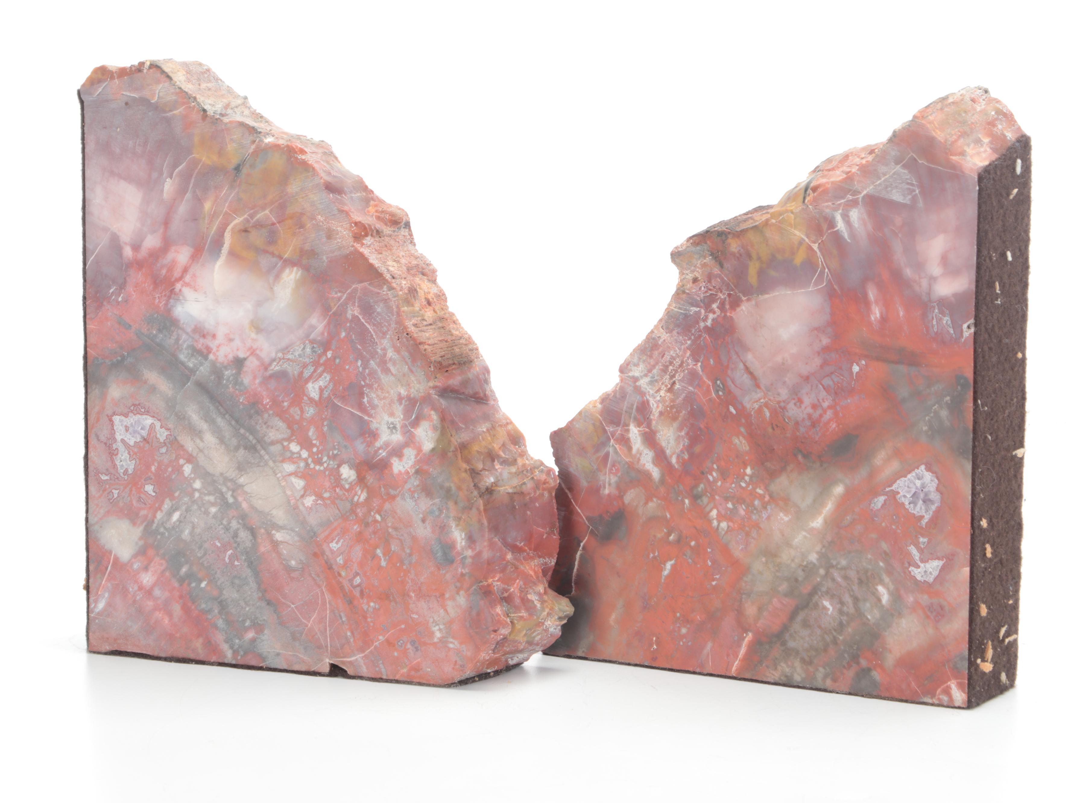 Kanab Wonderstone Sandstone and Agatized Petrified Wood EBTH