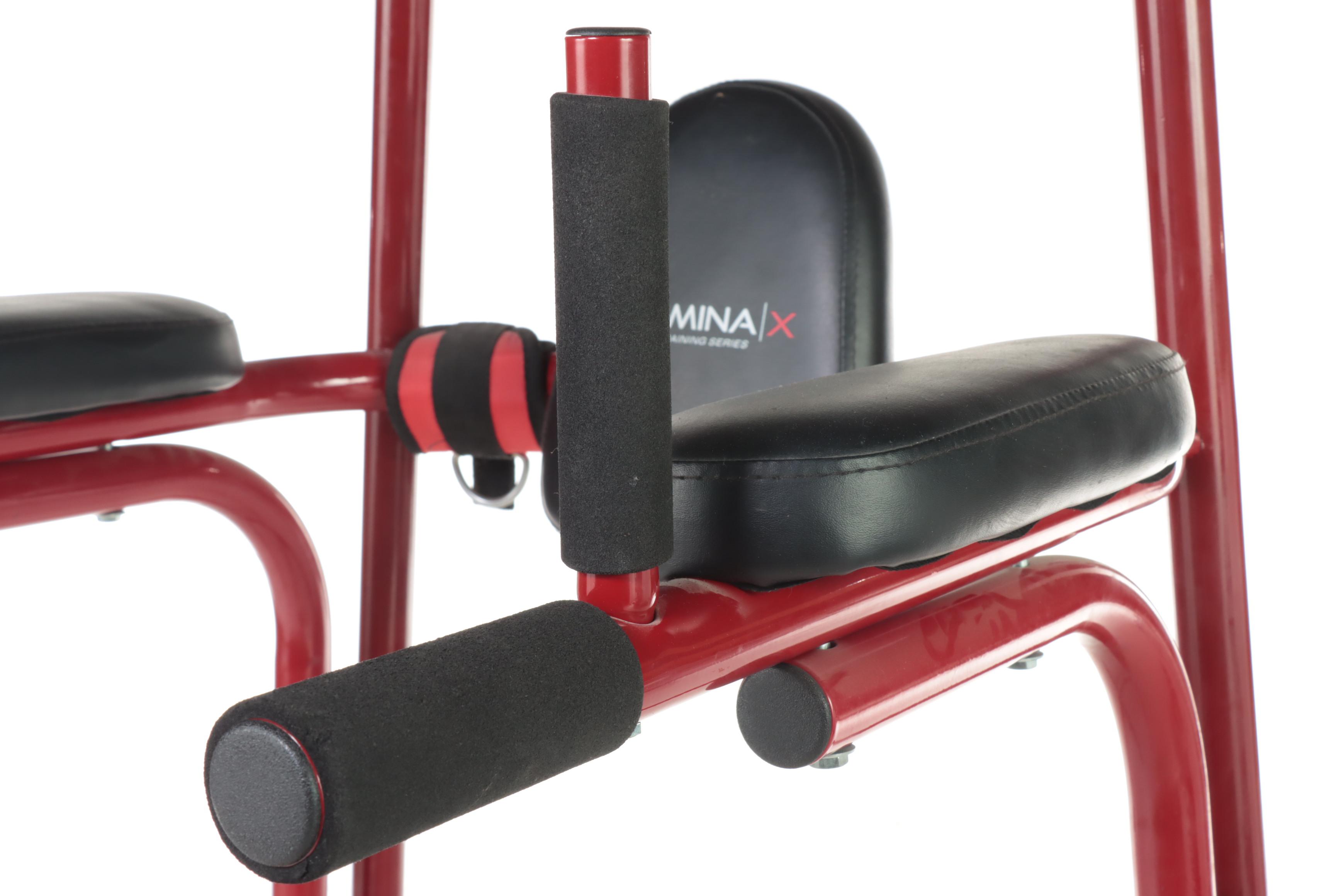 Stamina X Extreme Training Series Power Tower Exercise Machine EBTH