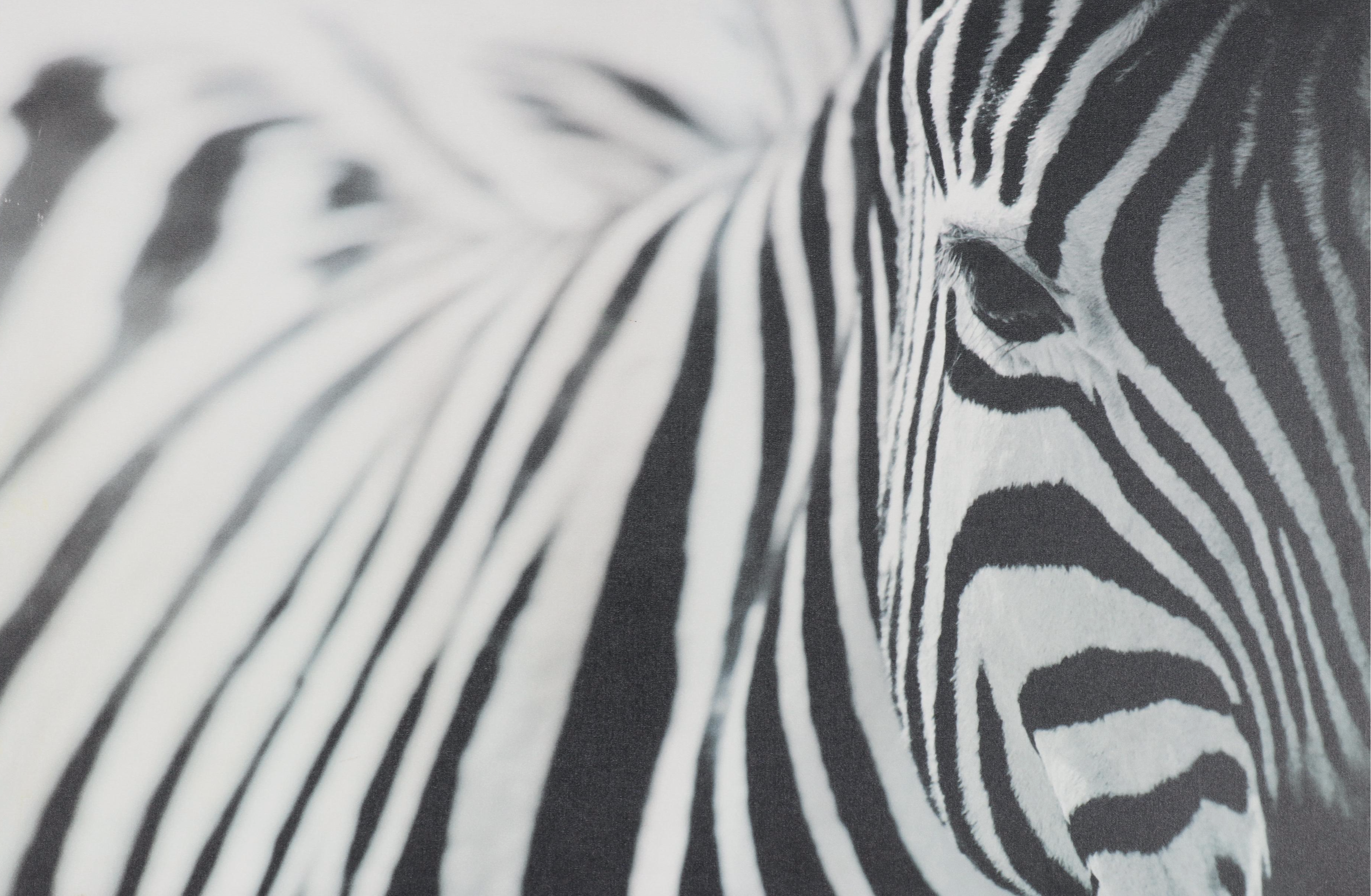 Ikea Offset Lithograph After Richard Lewisohn 