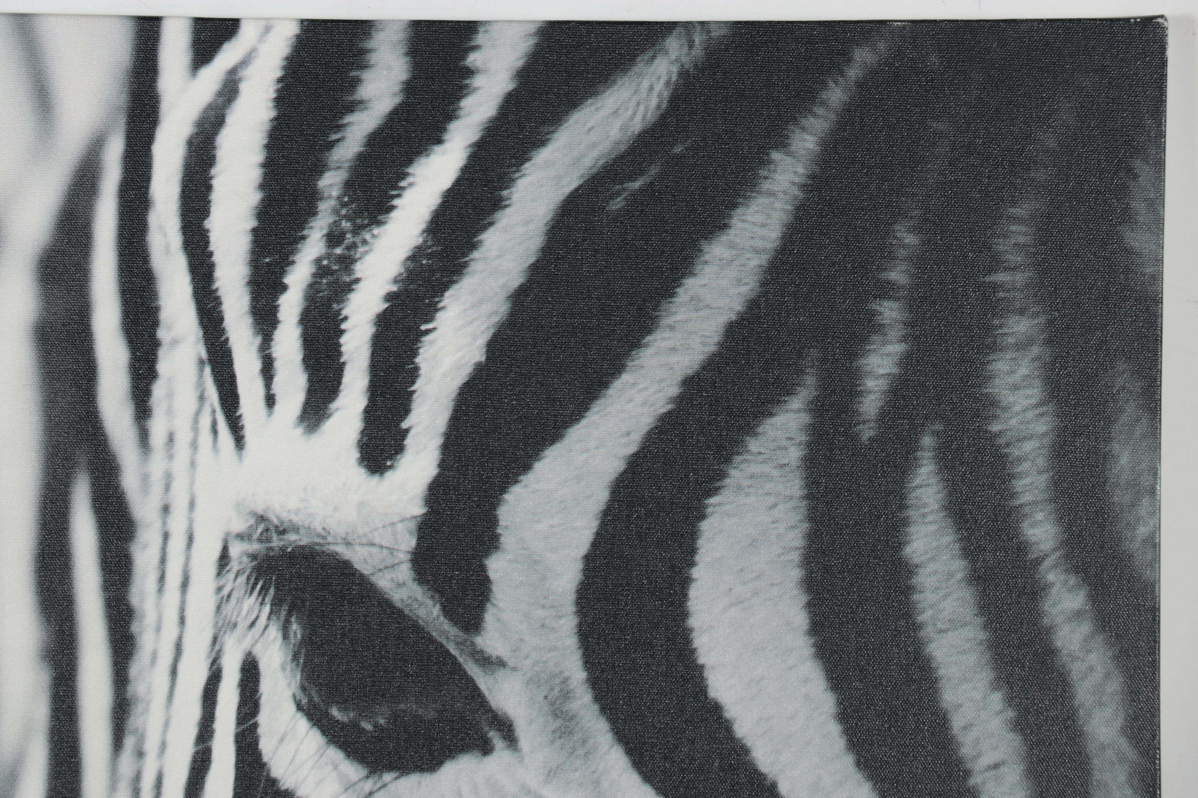 Ikea Offset Lithograph After Richard Lewisohn "Zebra," 21st Century EBTH