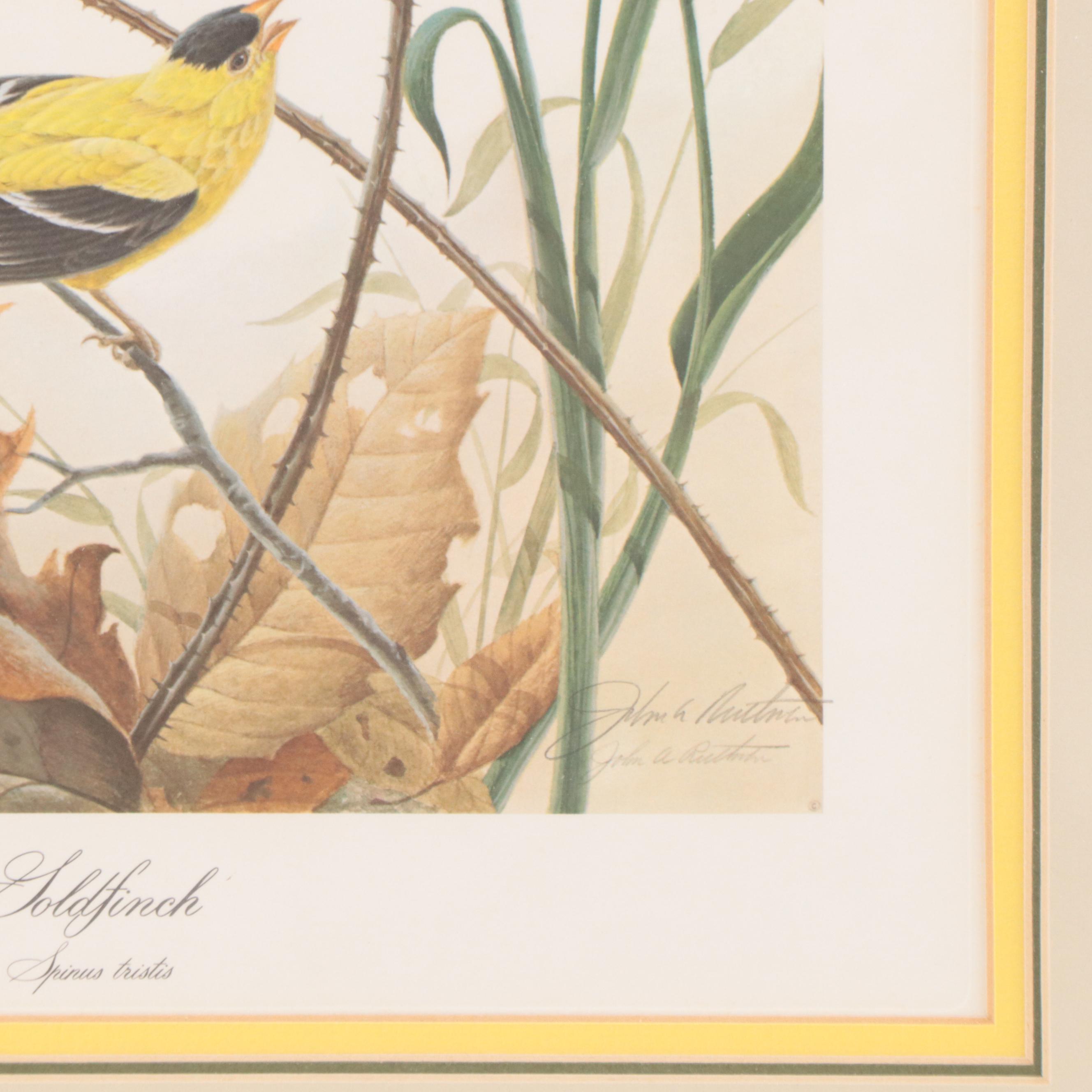 John Ruthven Offset Lithograph "Goldfinch" EBTH