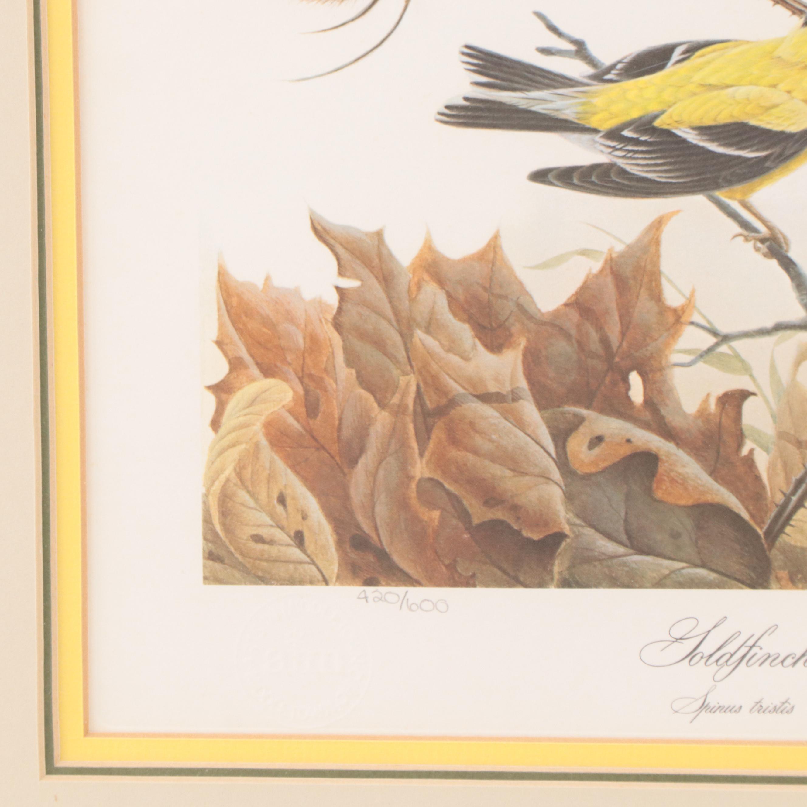 John Ruthven Offset Lithograph "Goldfinch" EBTH