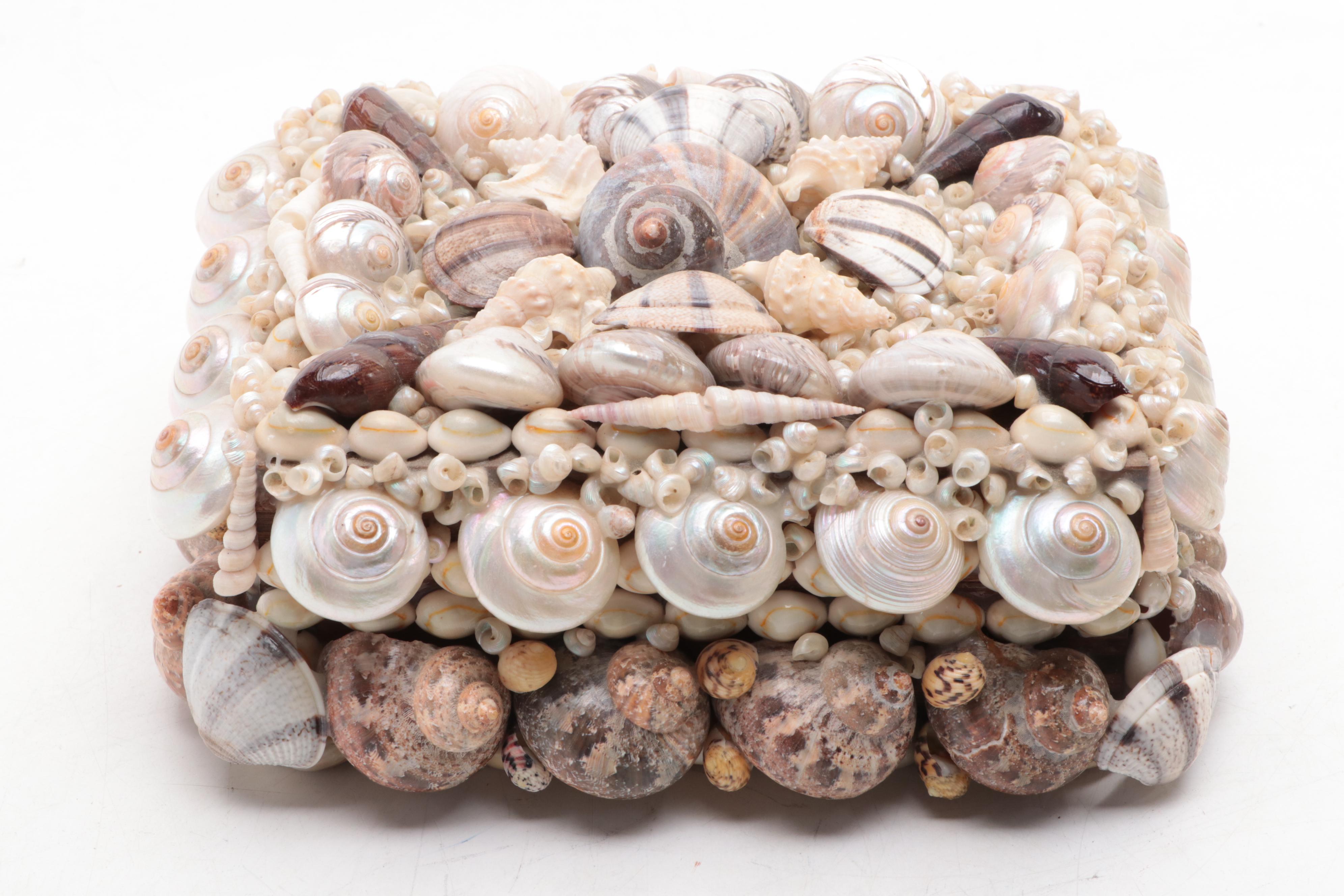 Cowrie, Turbo and Striped Clam Shell Embellished Trinket Boxes | EBTH