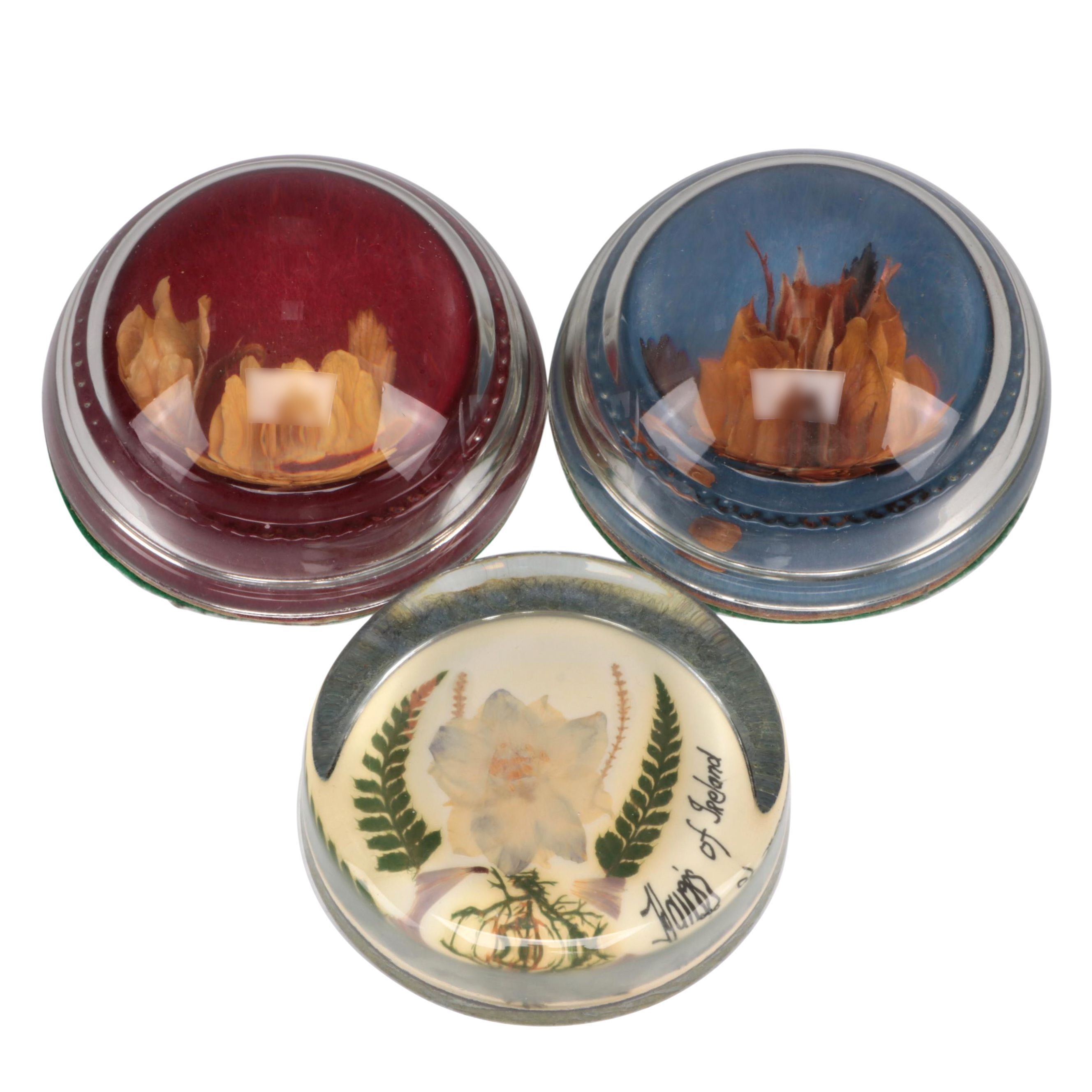 "Flowers of Ireland" and Other Pressed Flower Paperweights EBTH