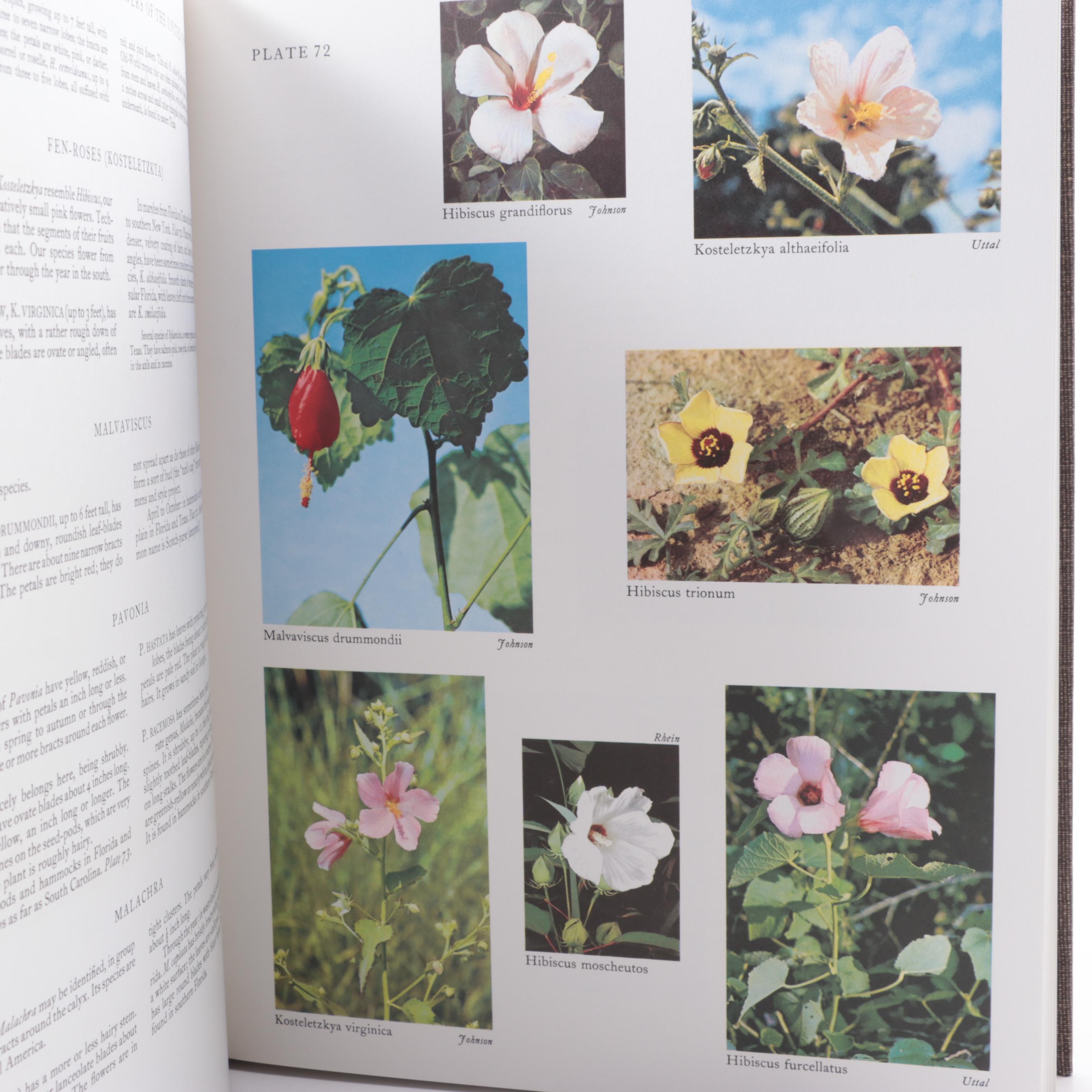 "Wild Flowers of the United States" Vol. III by Harold William Rickett