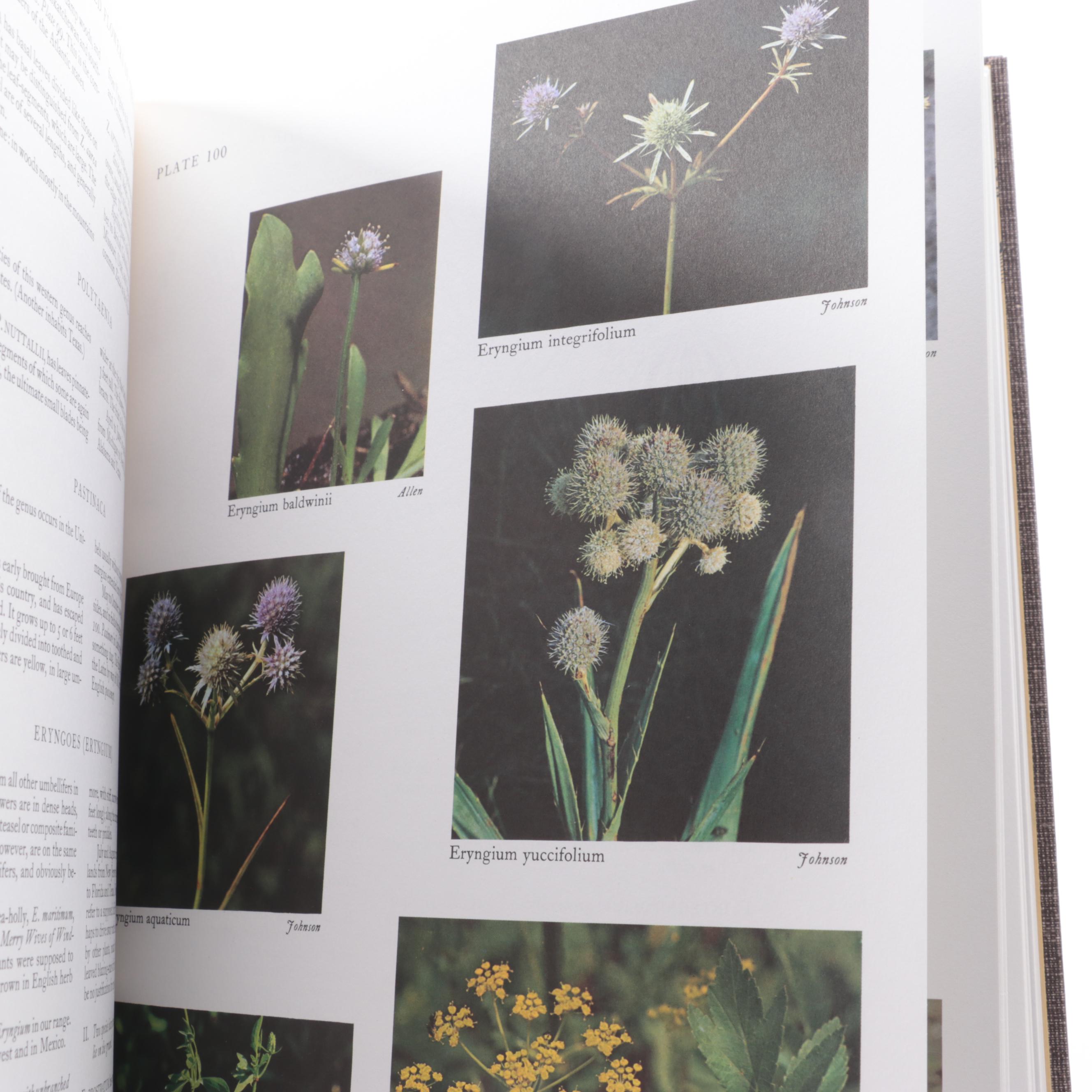 "Wild Flowers of the United States" Vol. III by Harold William Rickett