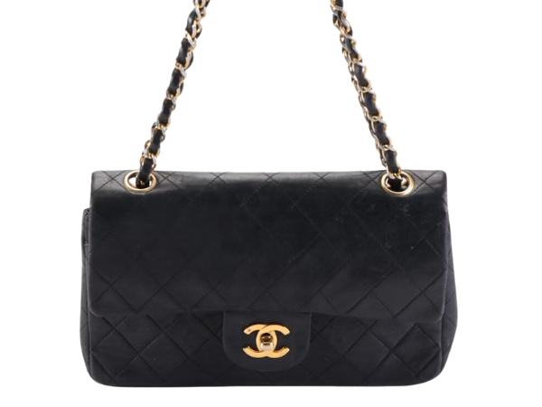 Walk In Closet Chanel Bags Design Ideas